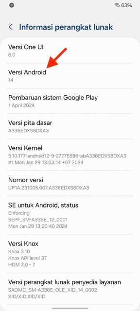 Cara Cek Versi Android 3