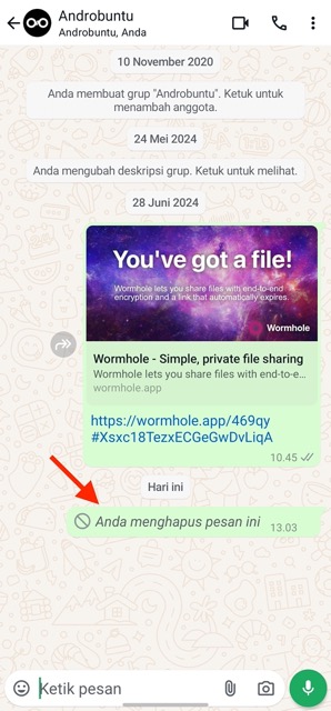 Cara Menghapus Pesan WhatsApp 3