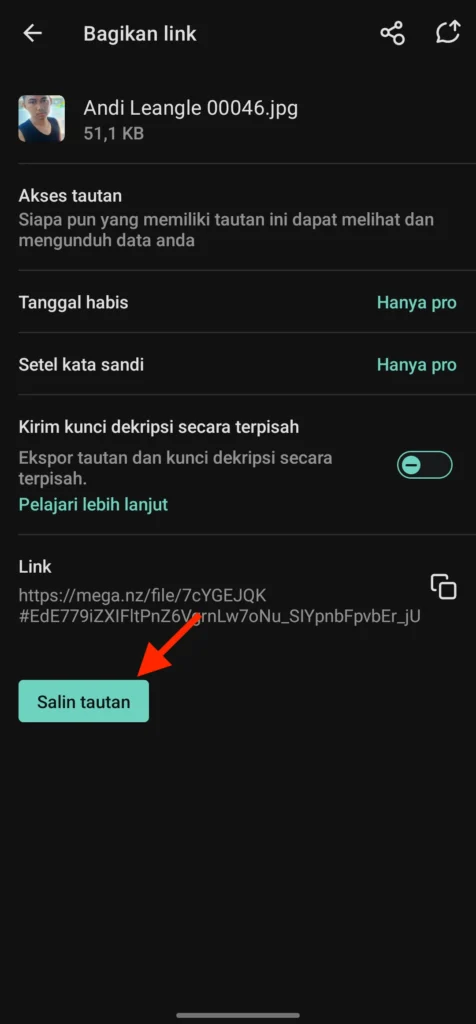 Cara Membuat Link Download File di Mega 3