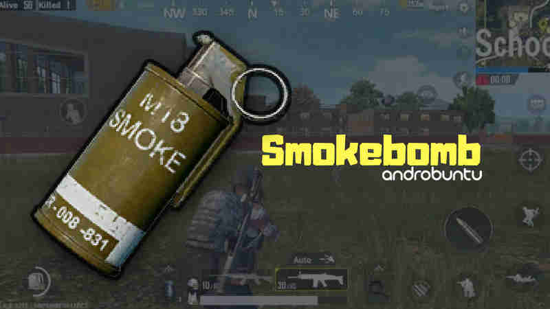 smokebomb pubg mobile