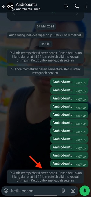 Pesan Berwaktu WhatsApp 3
