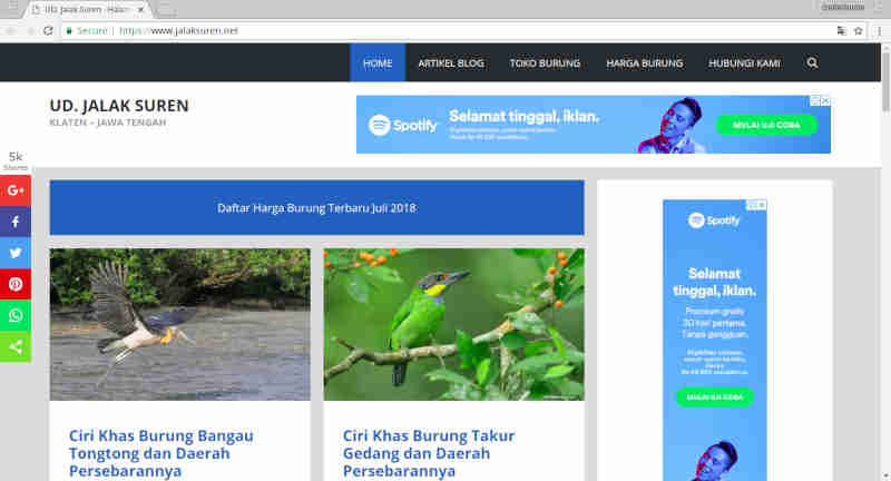 Situs Referensi Hobi Burung Terbaik Di Indonesia