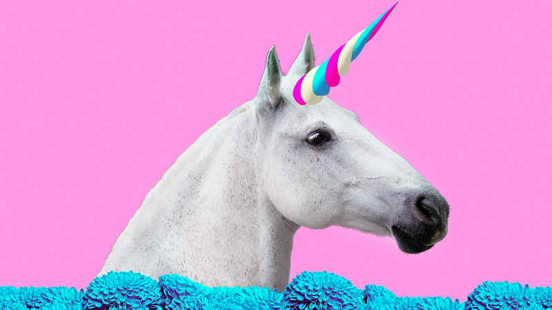 pengertian startup unicorn by Androbuntu 2