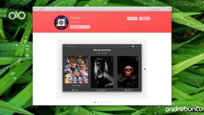elementary OS Mendukung Flatpak by Androbuntu.com 1 elementary OS Mendukung Flatpak by Androbuntu.com 1