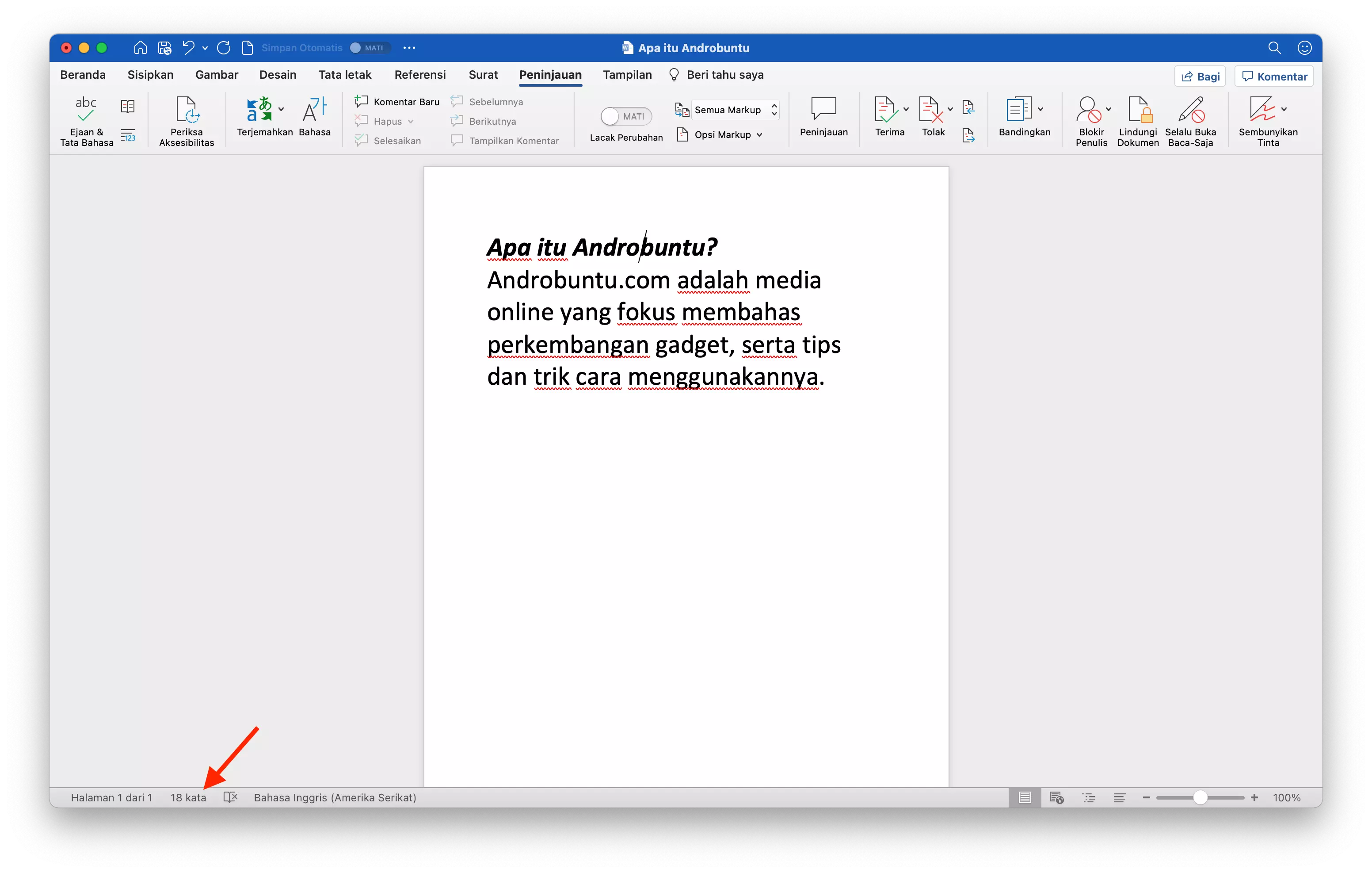 Cara Menampilkan Jumlah Kata pada Microsoft Word by Androbuntu 4