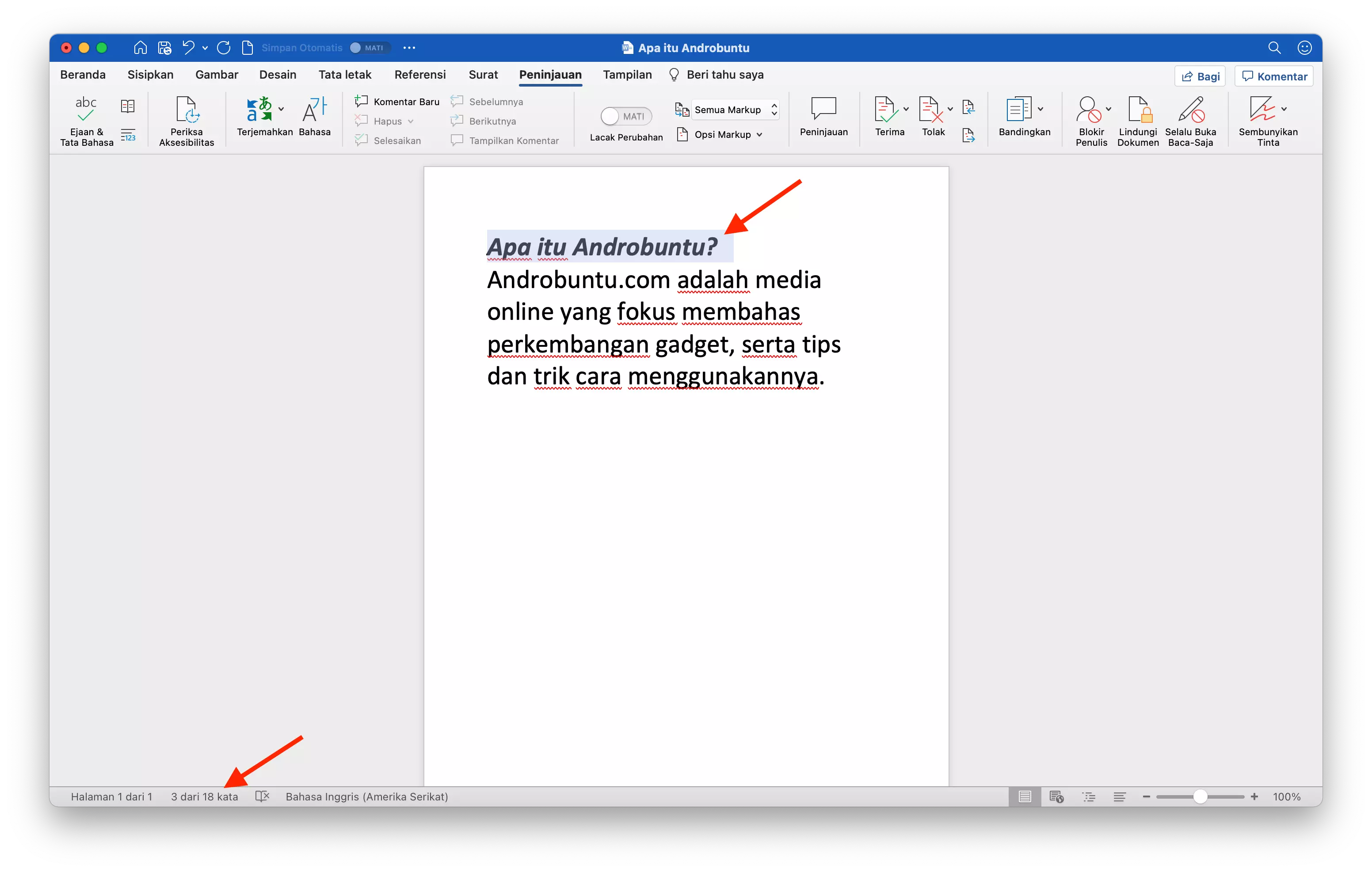 Cara Menampilkan Jumlah Kata pada Microsoft Word by Androbuntu 5