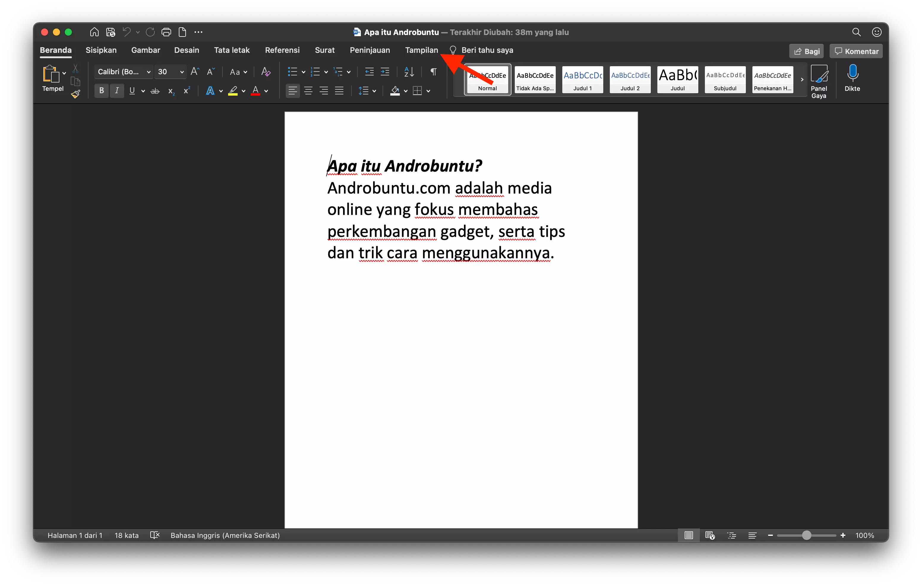 Cara Menampilkan Penggaris di Microsoft Word by Androbuntu 1