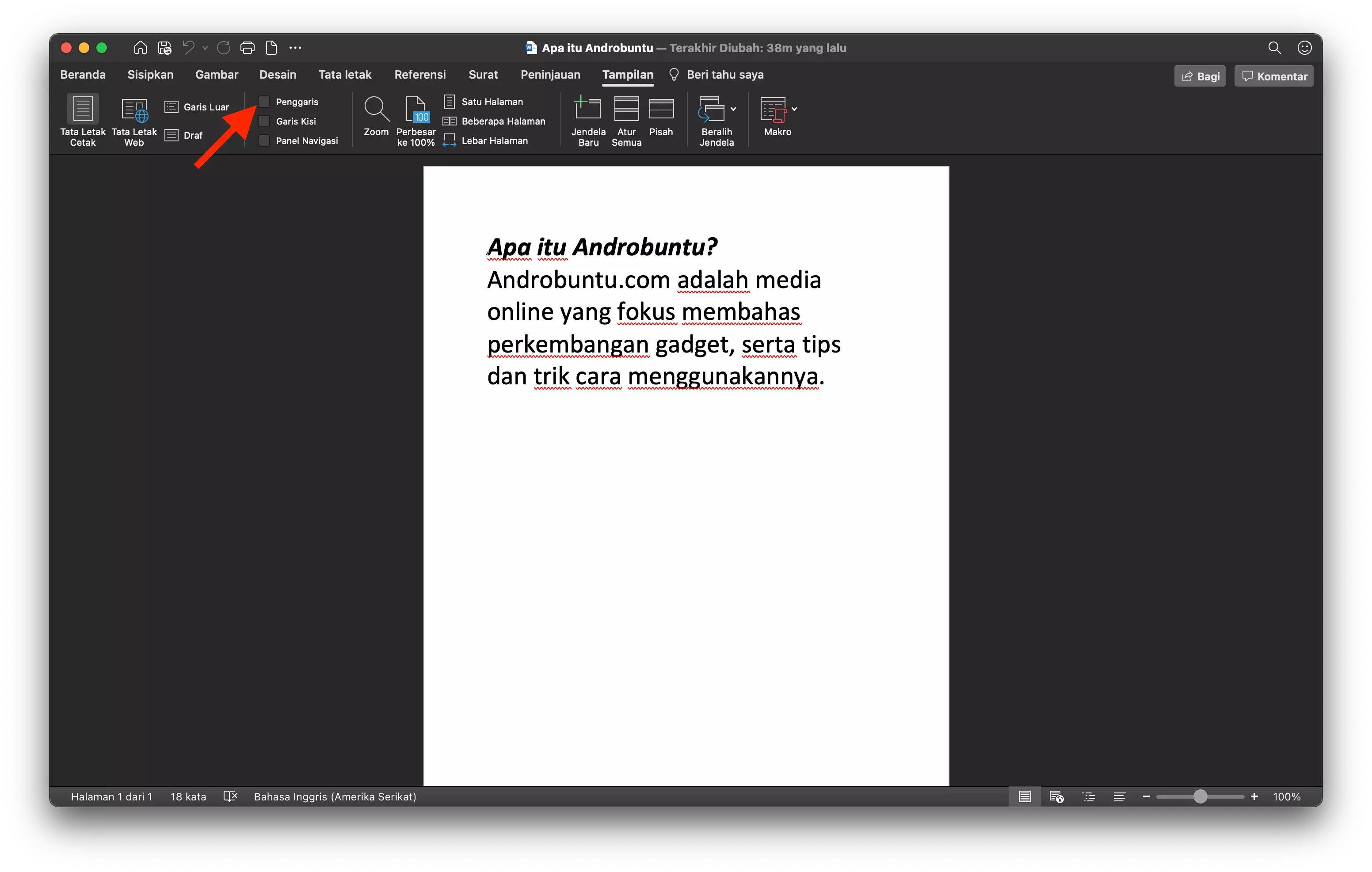 Cara Menampilkan Penggaris di Microsoft Word by Androbuntu 2