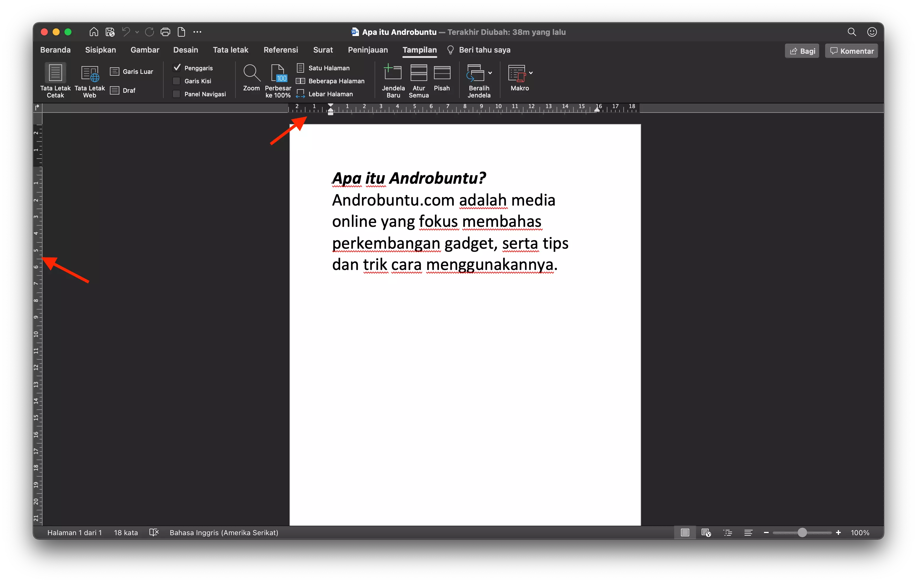 Cara Menampilkan Penggaris di Microsoft Word by Androbuntu 3