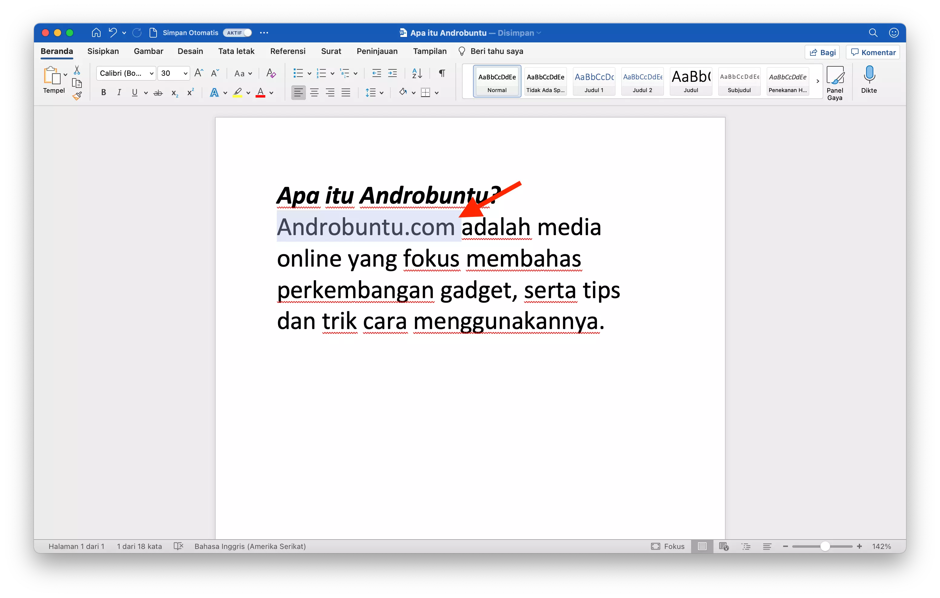 Cara Membuat dan Menghapus Komentar di Microsoft Word by Androbuntu 1