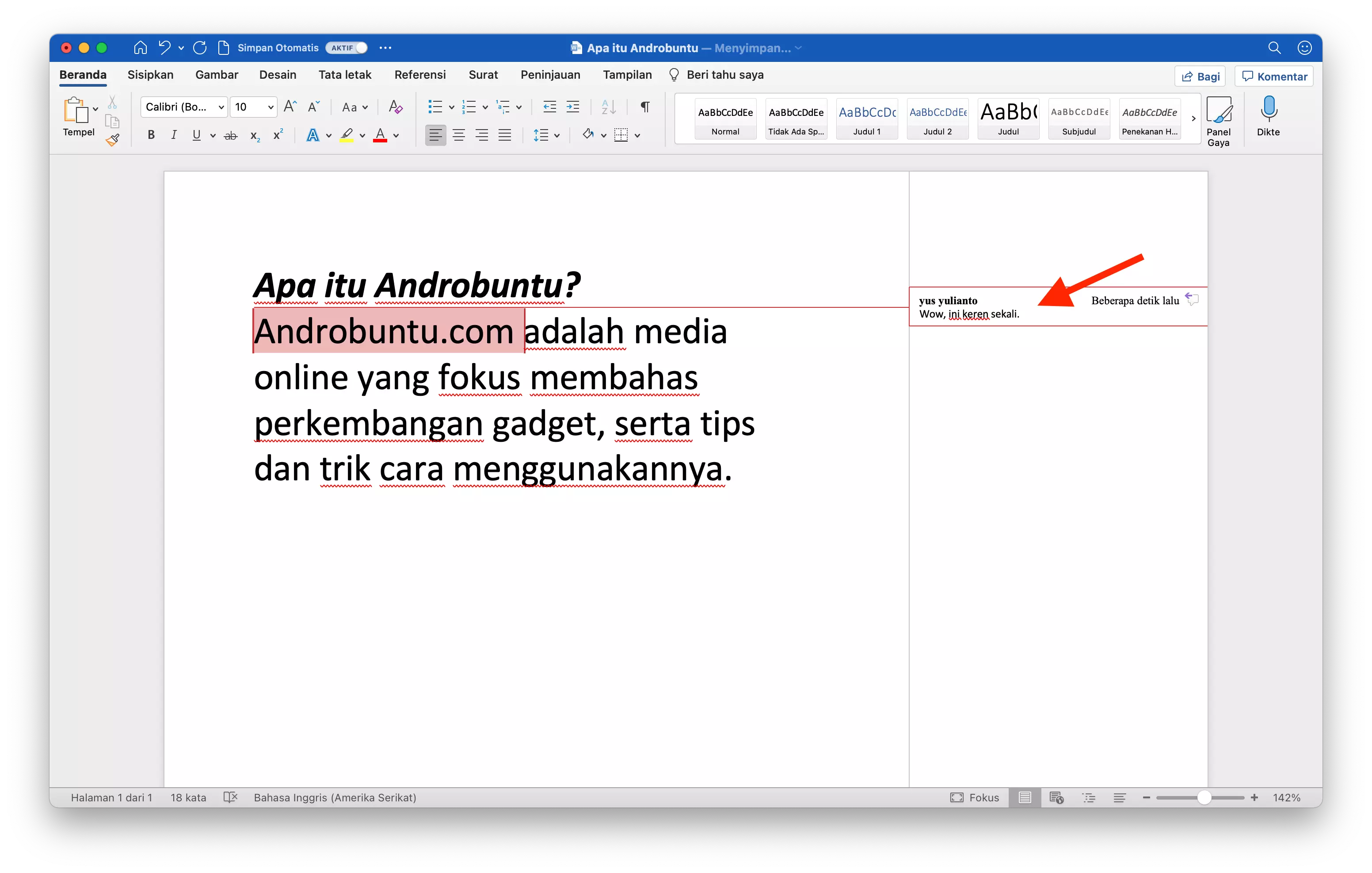 Cara Membuat dan Menghapus Komentar di Microsoft Word by Androbuntu 3