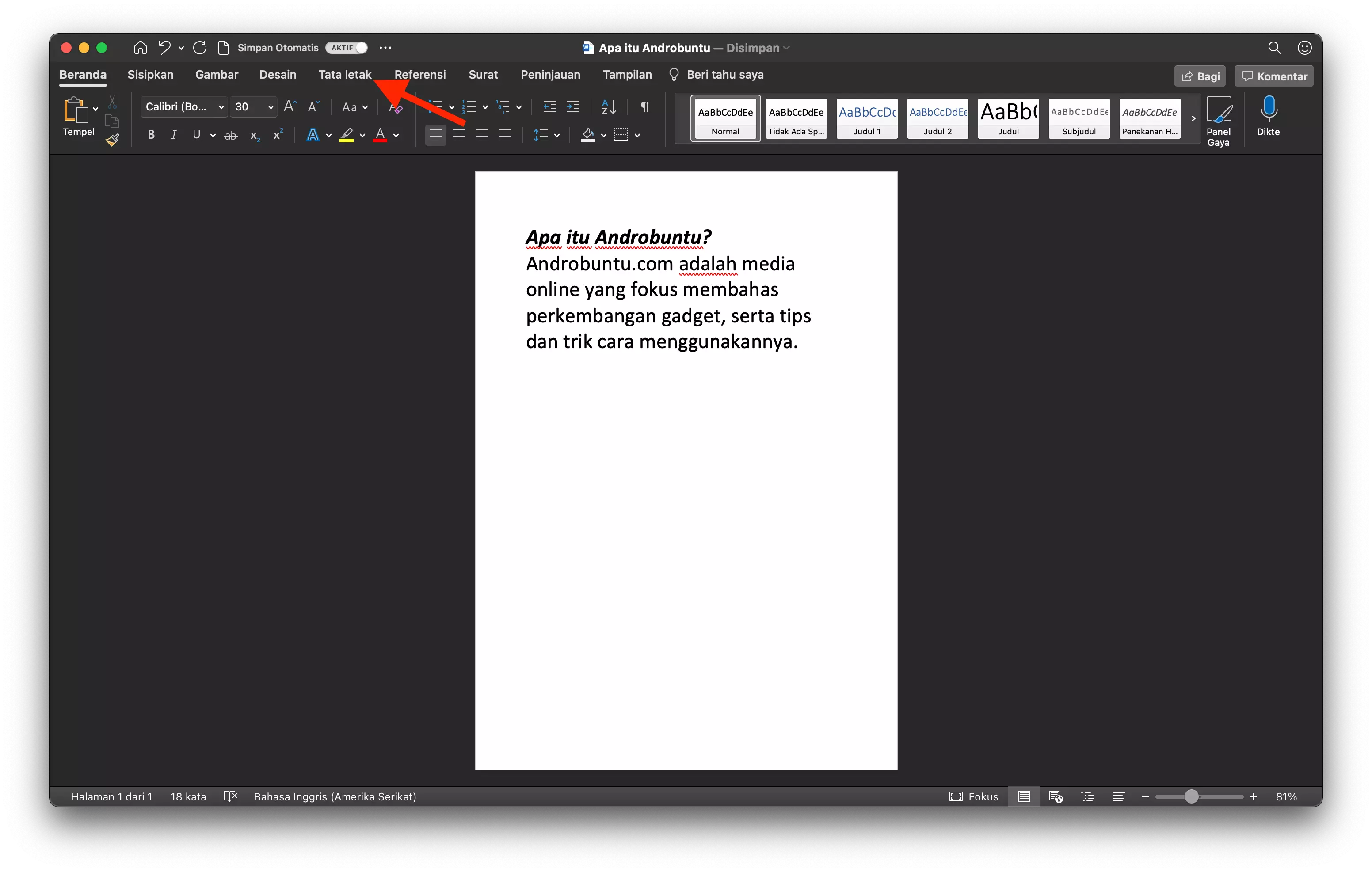Cara Mengganti Orientasi Kertas di Microsoft Word by Androbuntu 1