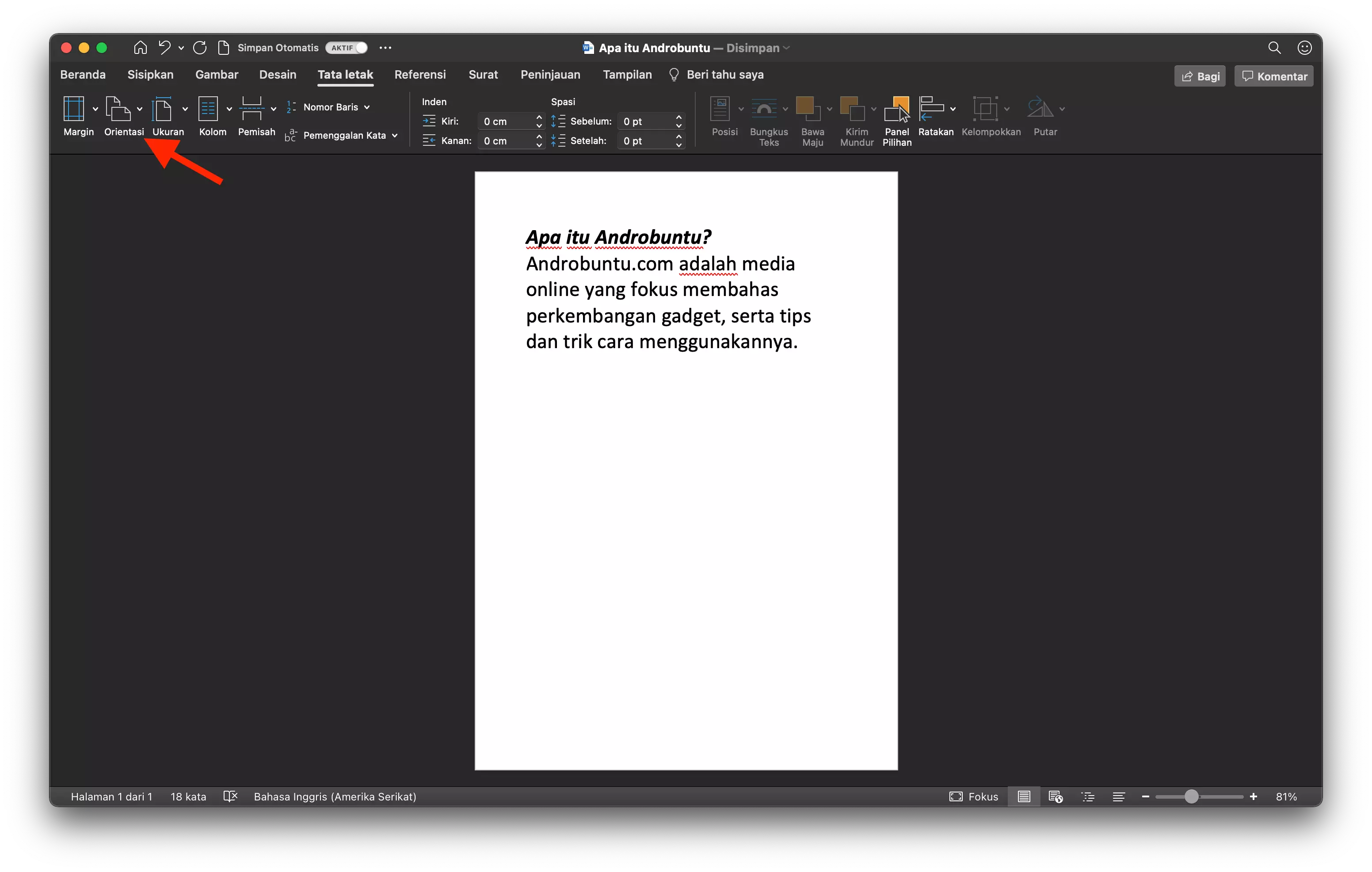 Cara Mengganti Orientasi Kertas di Microsoft Word by Androbuntu 2