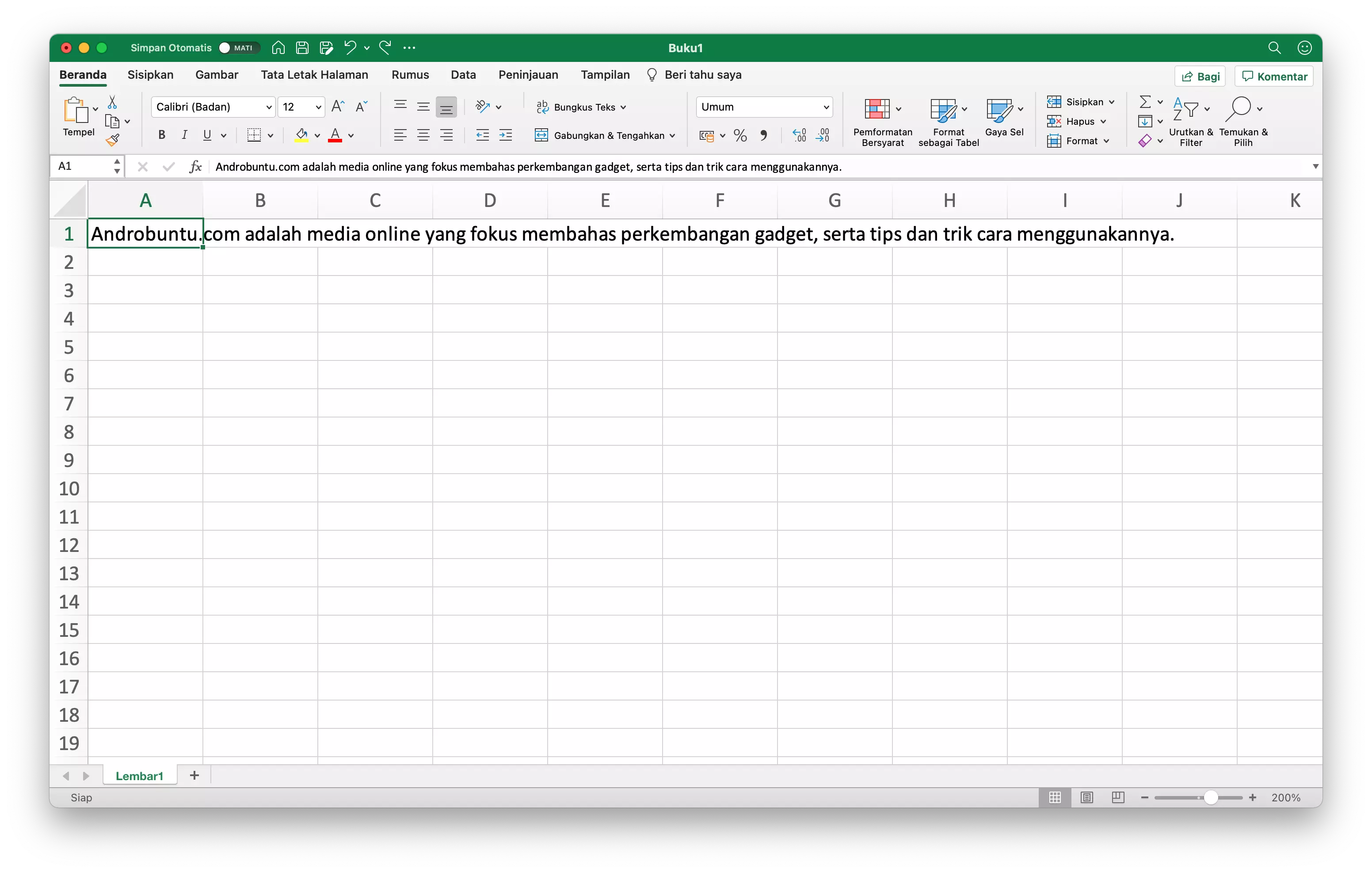 Cara Agar Teks Tidak Melebihi Tabel di Microsoft Excel by Androbuntu 1