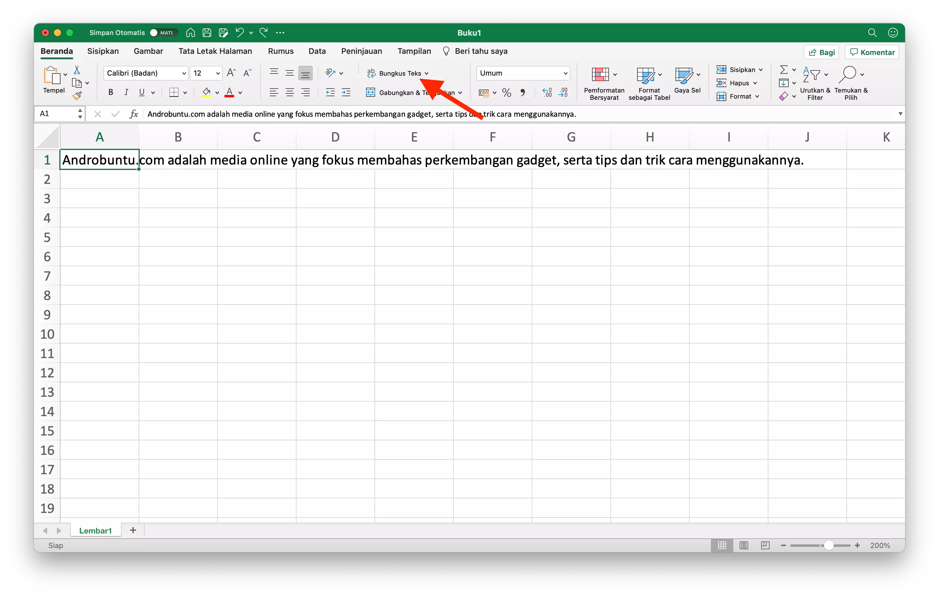 Cara Agar Teks Tidak Melebihi Tabel di Microsoft Excel by Androbuntu 2