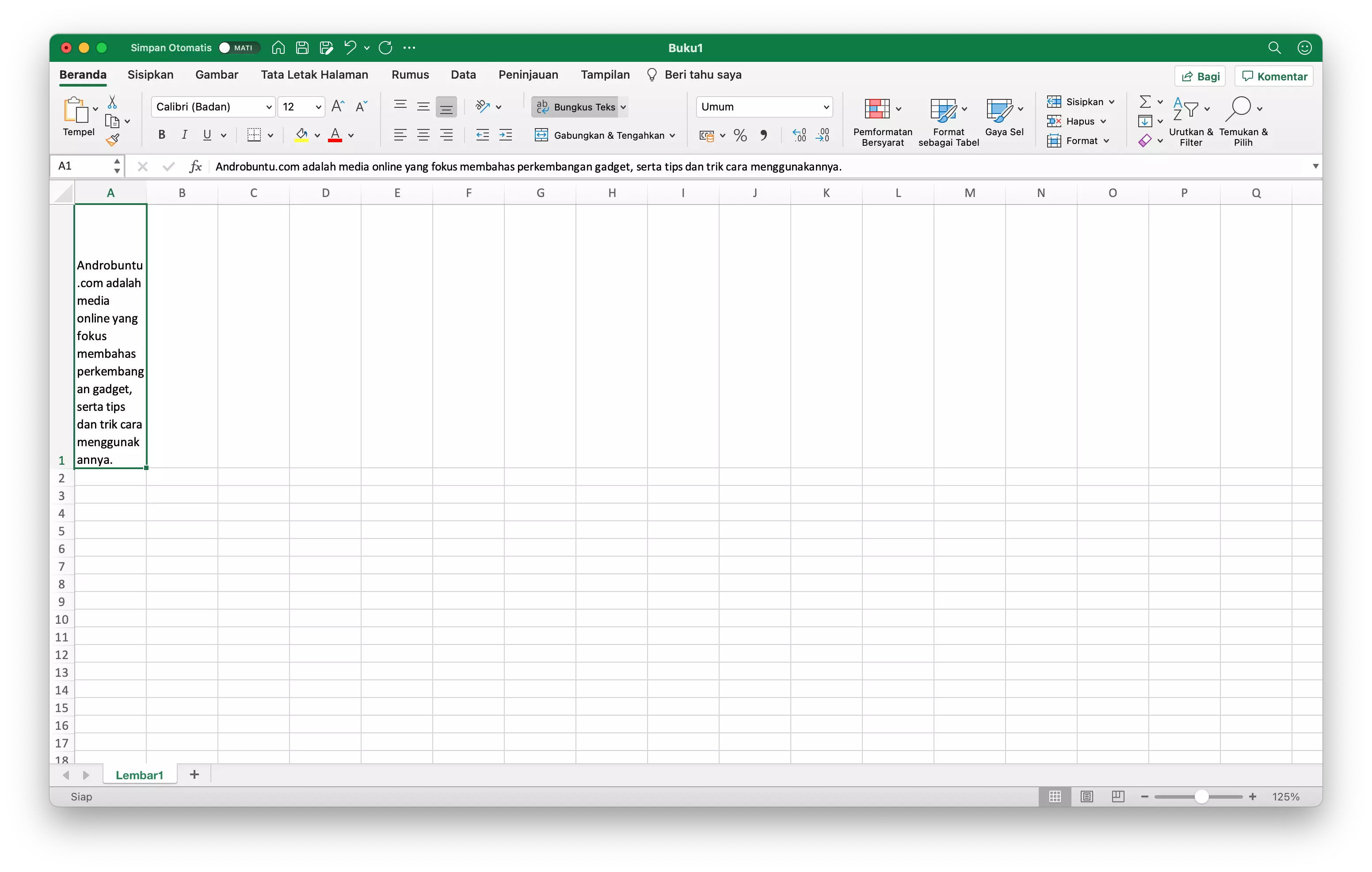 Cara Agar Teks Tidak Melebihi Tabel di Microsoft Excel by Androbuntu 3