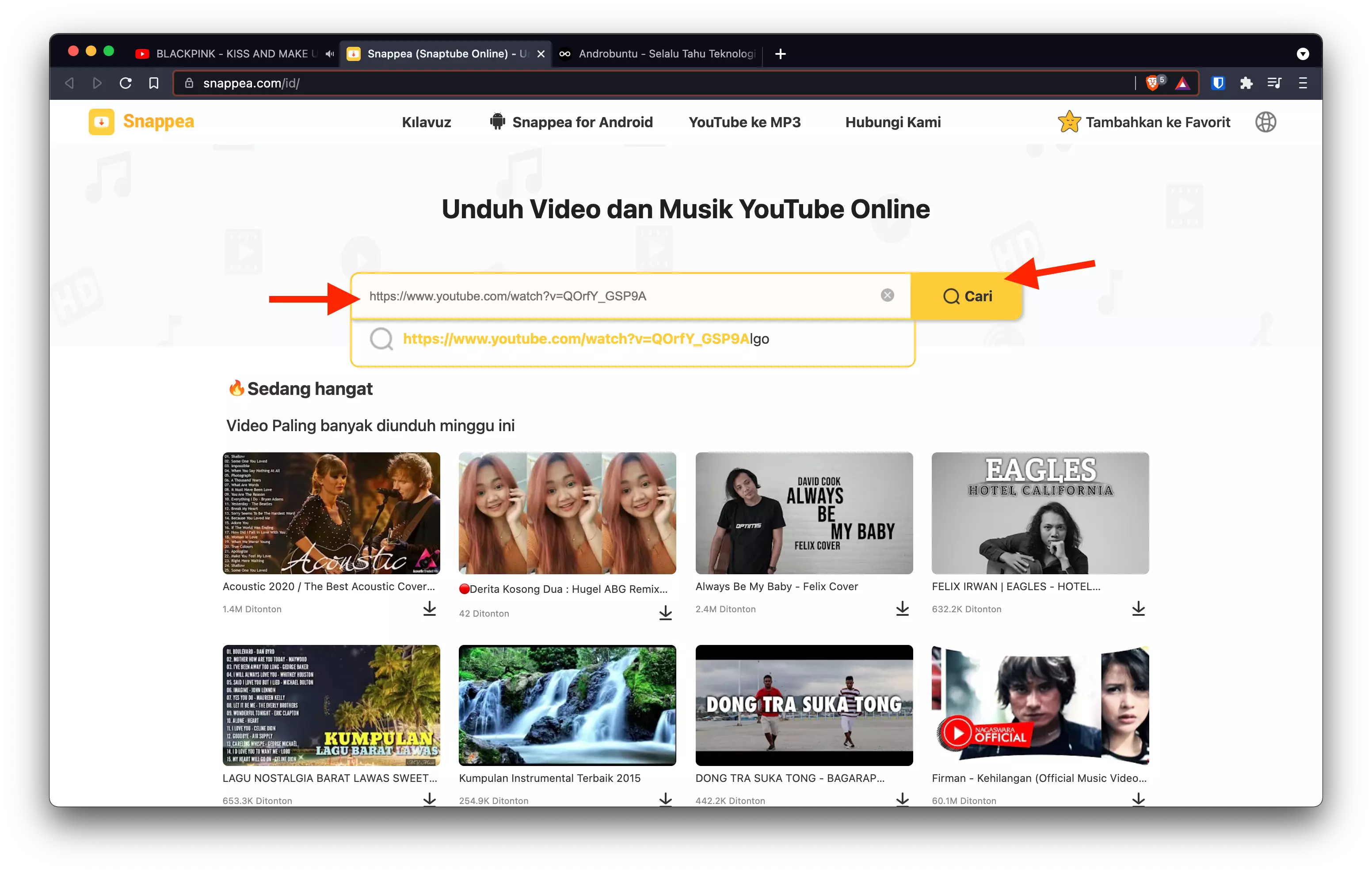 Cara Download YouTube Menggunakan Snappea 2