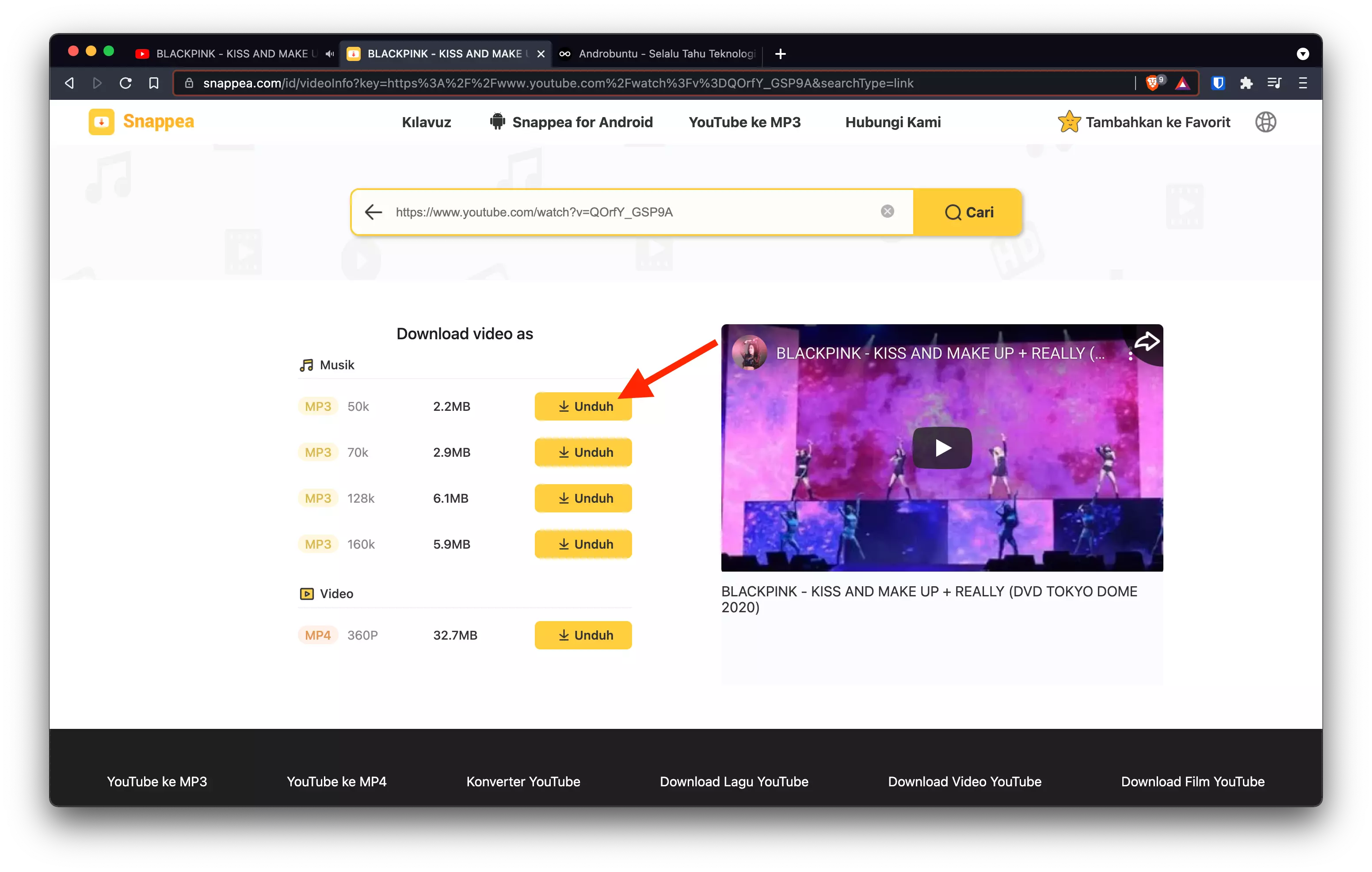 Cara Download YouTube Menggunakan Snappea 3