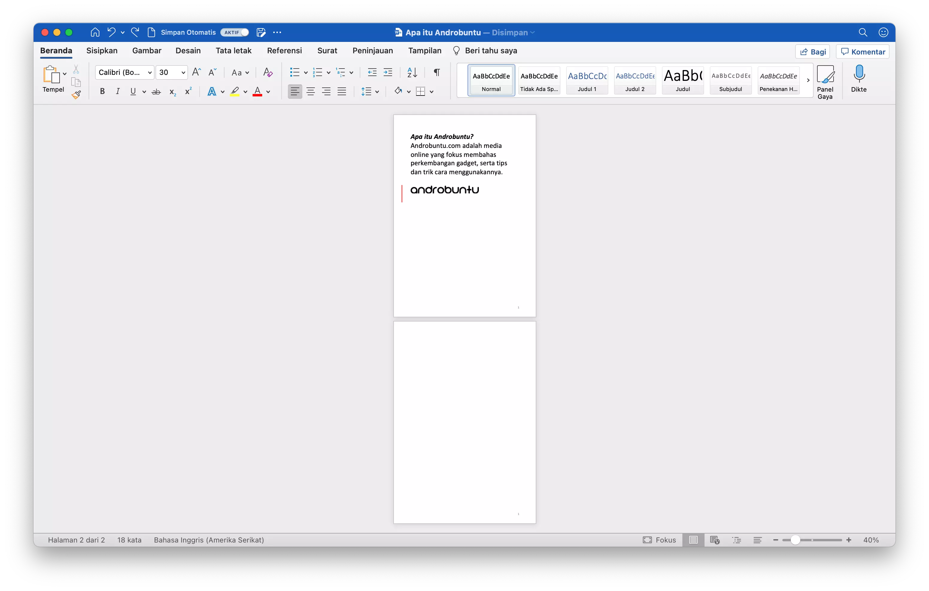 Cara Membuat Halaman Portrait dan Landscape di Satu Dokumen Microsoft Word by Androbuntu 1