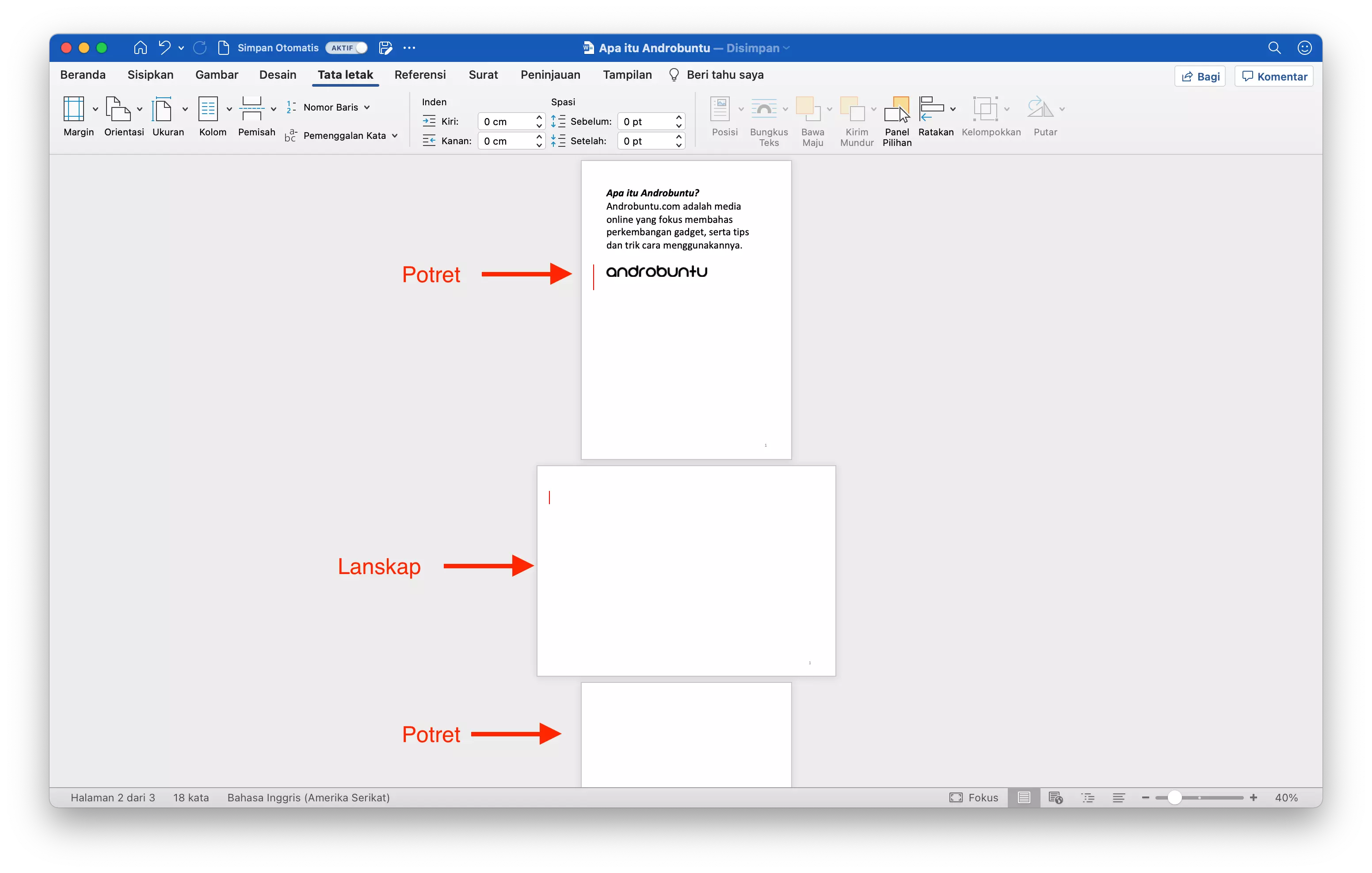 Cara Membuat Halaman Portrait dan Landscape di Satu Dokumen Microsoft Word by Androbuntu 4