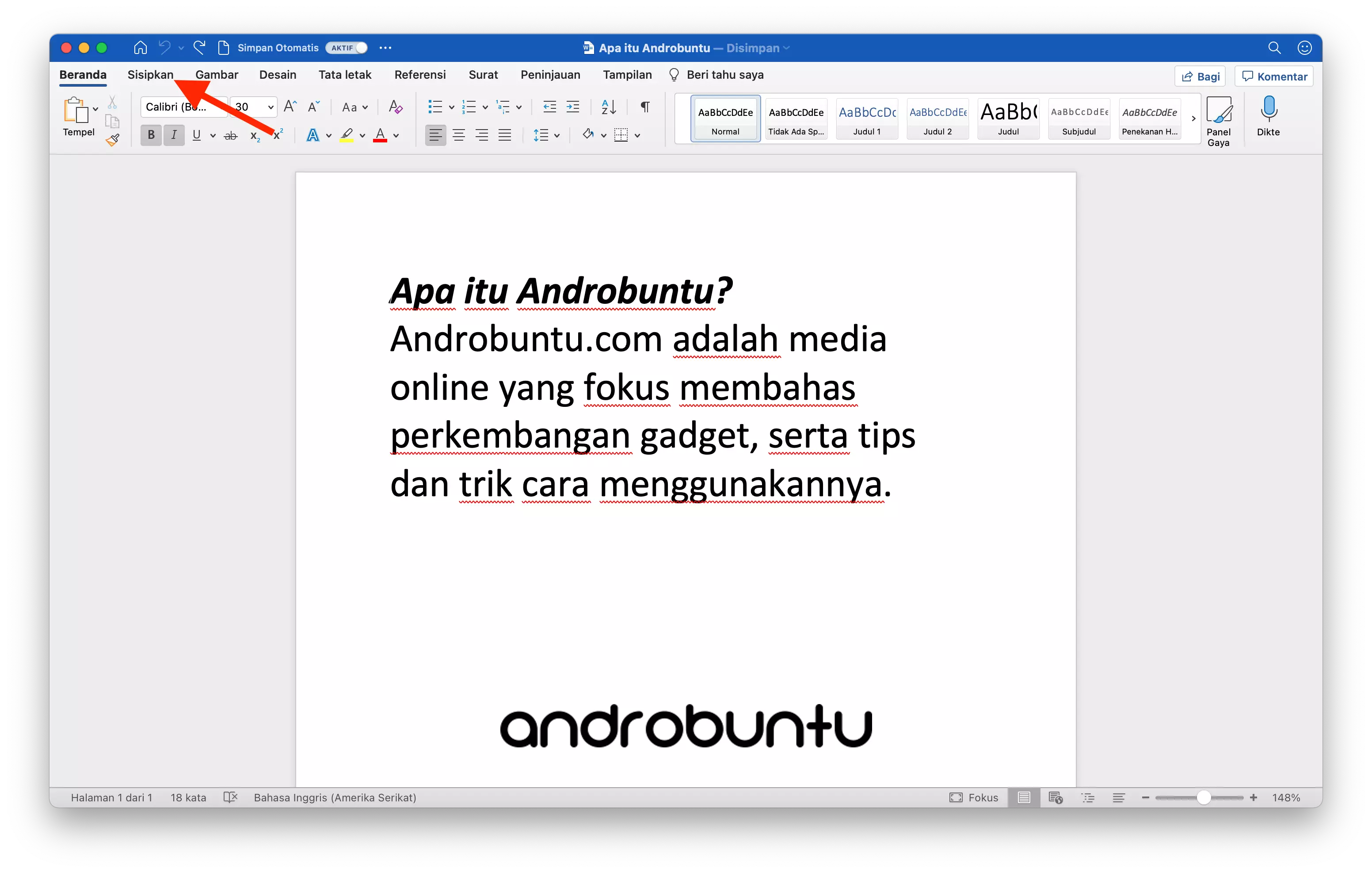 Cara Membuat Huruf Awal Paragraf Besar di Microsoft Word by Androbuntu 1