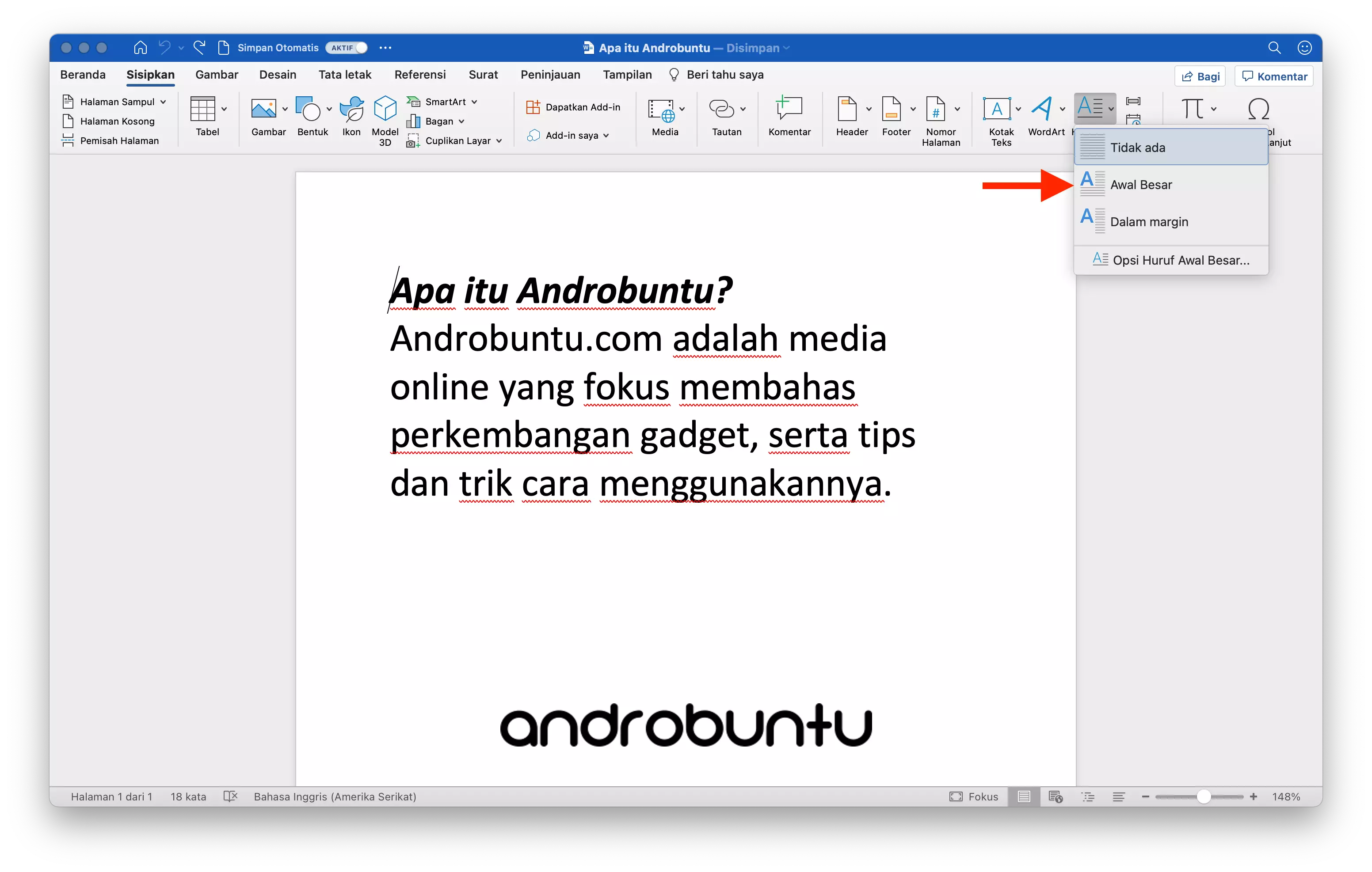 Cara Membuat Huruf Awal Paragraf Besar di Microsoft Word by Androbuntu 3