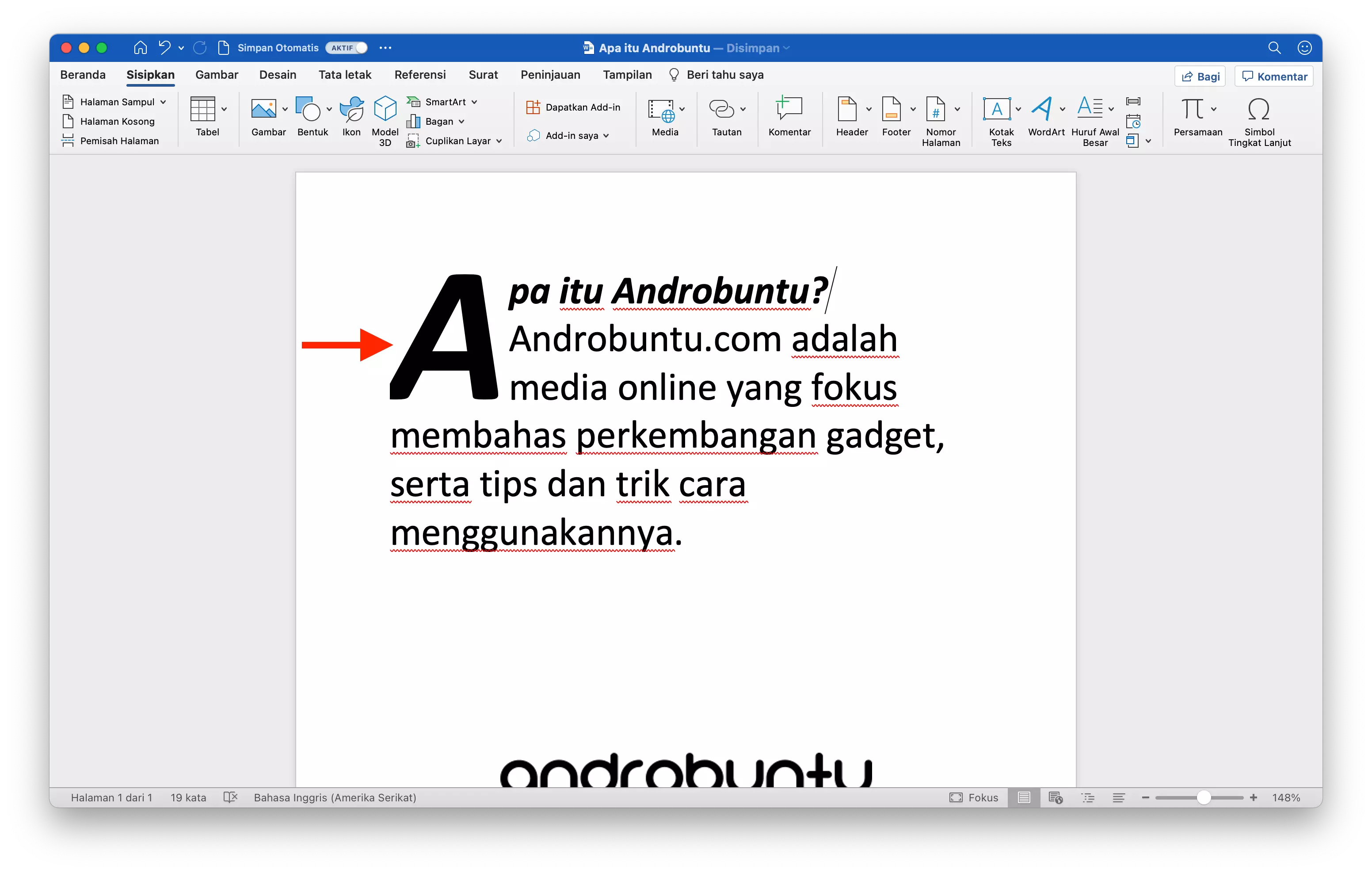 Cara Membuat Huruf Awal Paragraf Besar di Microsoft Word by Androbuntu 4