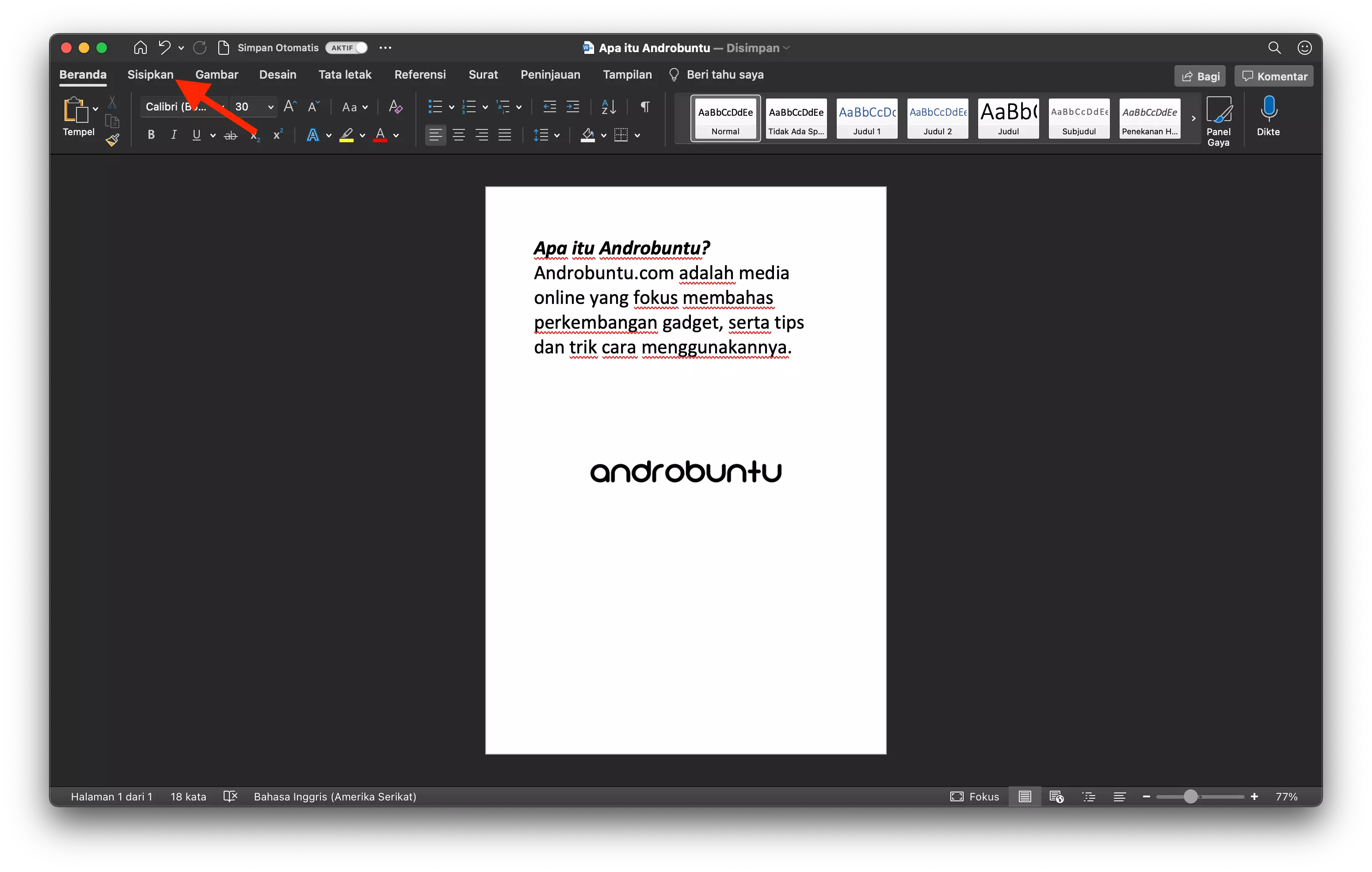 Cara Membuat Nomor Halaman di Microsoft Word by Androbuntu 1