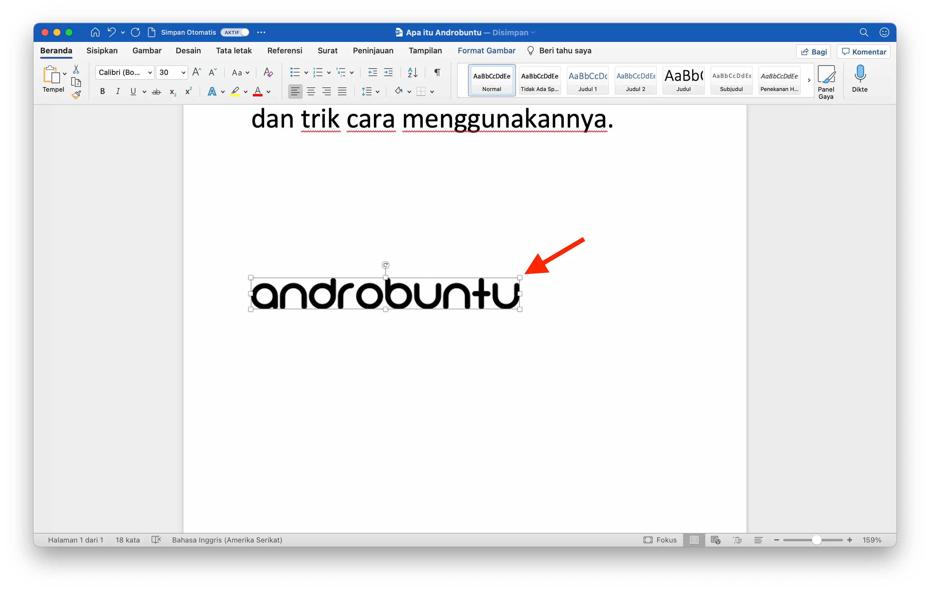 Cara Memotong Gambar di Microsoft Word by Androbuntu 1