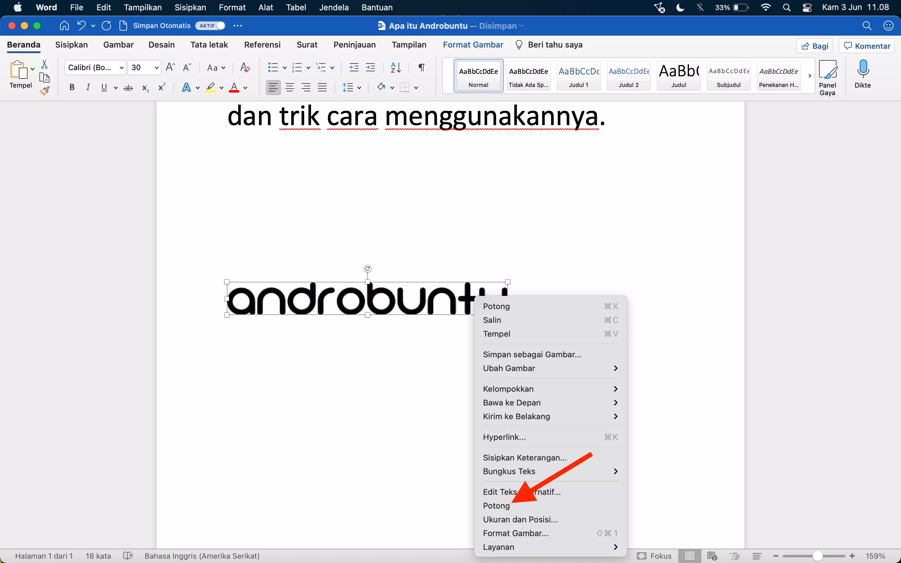 Cara Memotong Gambar di Microsoft Word by Androbuntu 2