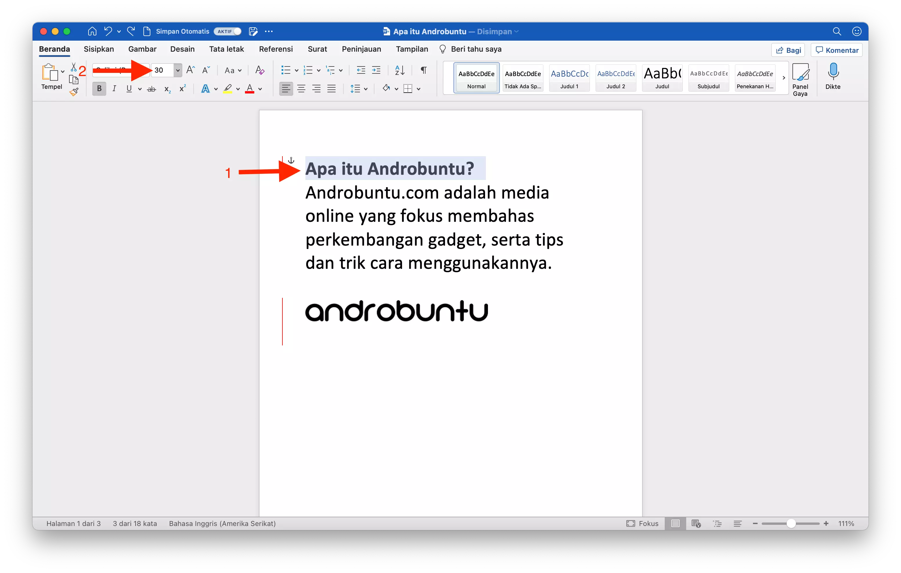 Cara Memperbesar atau Memperkecil Huruf di Microsoft Word by Androbuntu 1