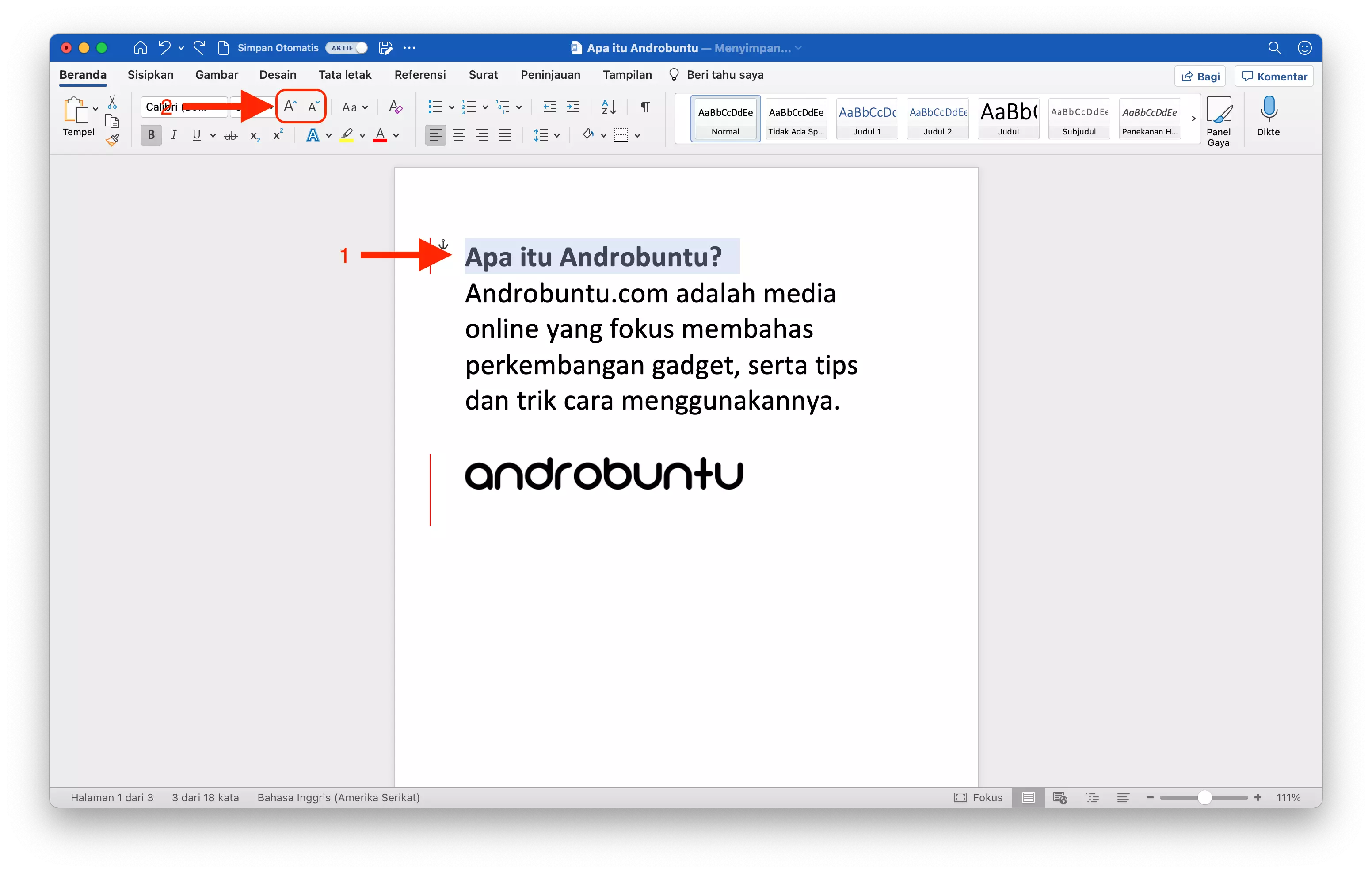 Cara Memperbesar atau Memperkecil Huruf di Microsoft Word by Androbuntu 2
