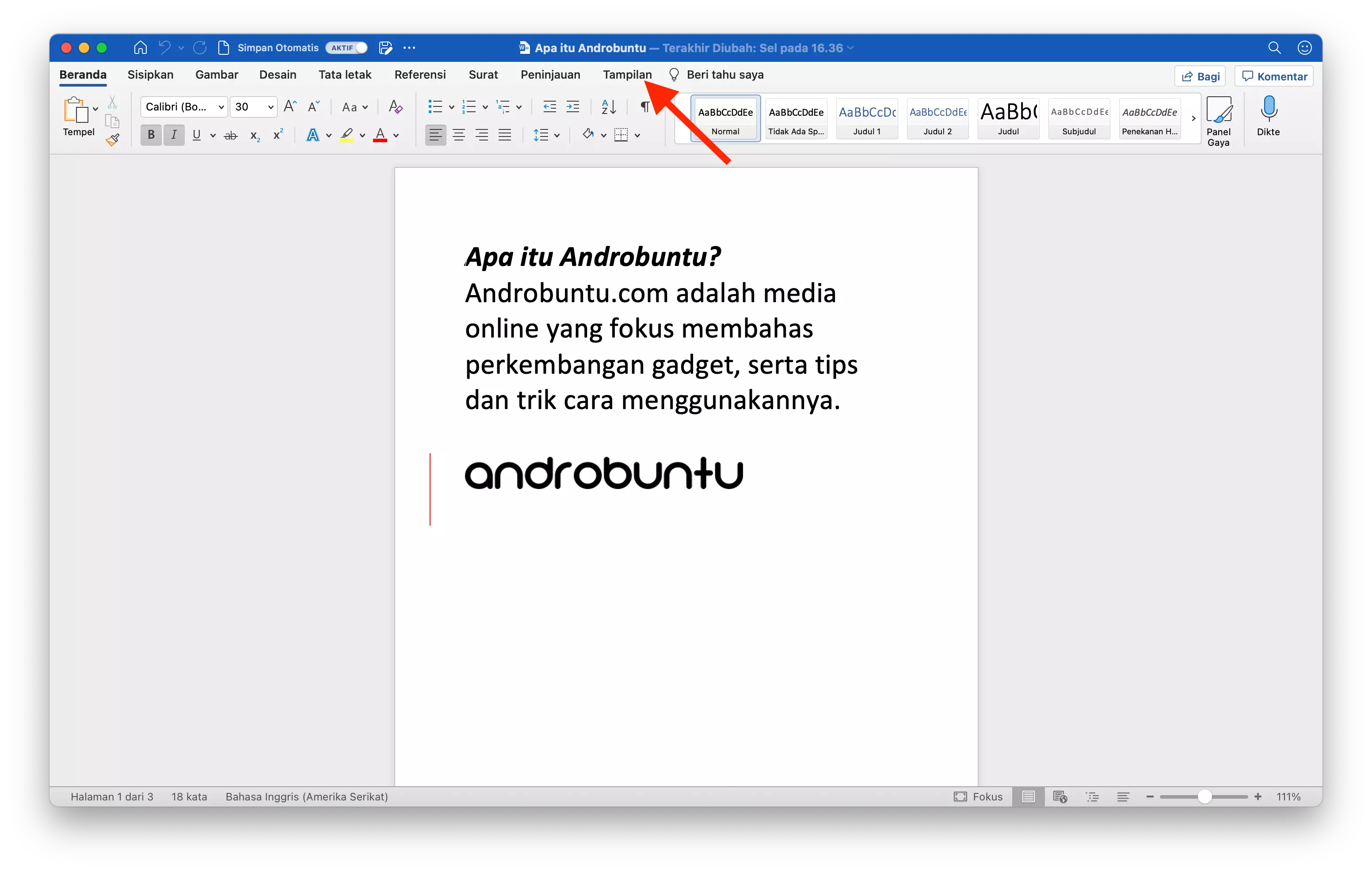 Cara Menampilkan Panel Navigasi di Microsoft Word by Androbuntu 1