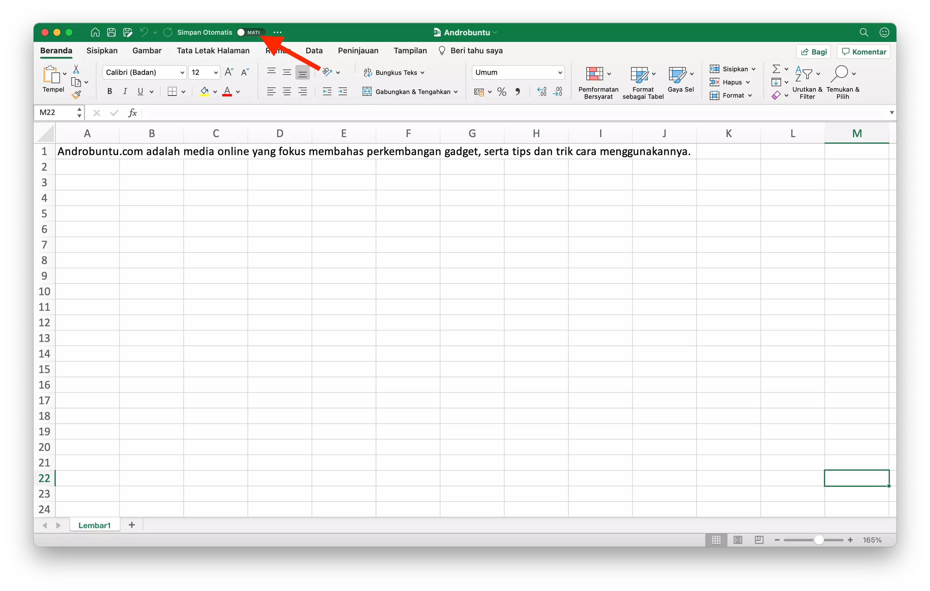 Cara Mengaktifkan Fitur Simpan Otomatis Microsoft Excel by Androbuntu 2