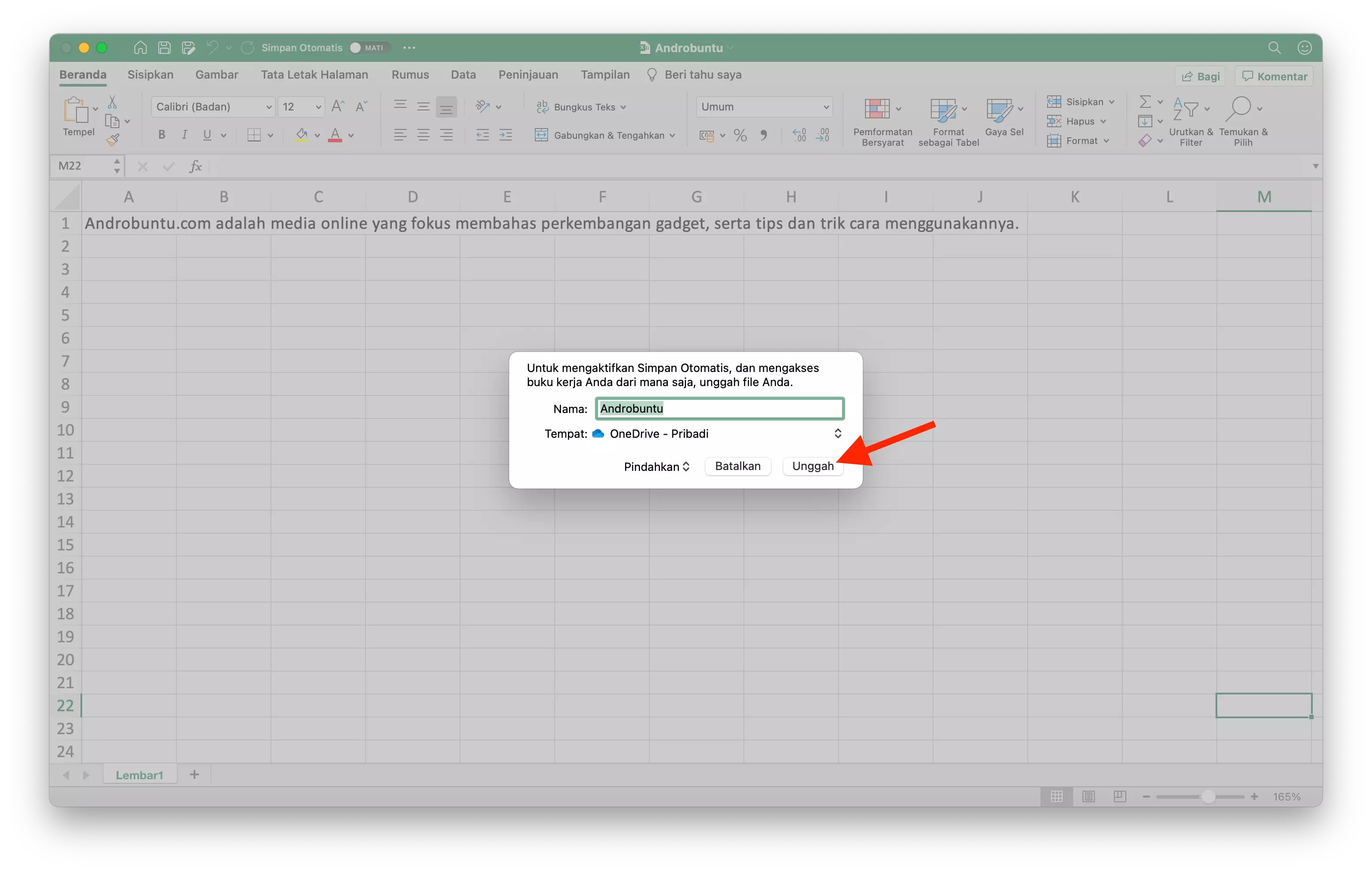 Cara Mengaktifkan Fitur Simpan Otomatis Microsoft Excel by Androbuntu 3