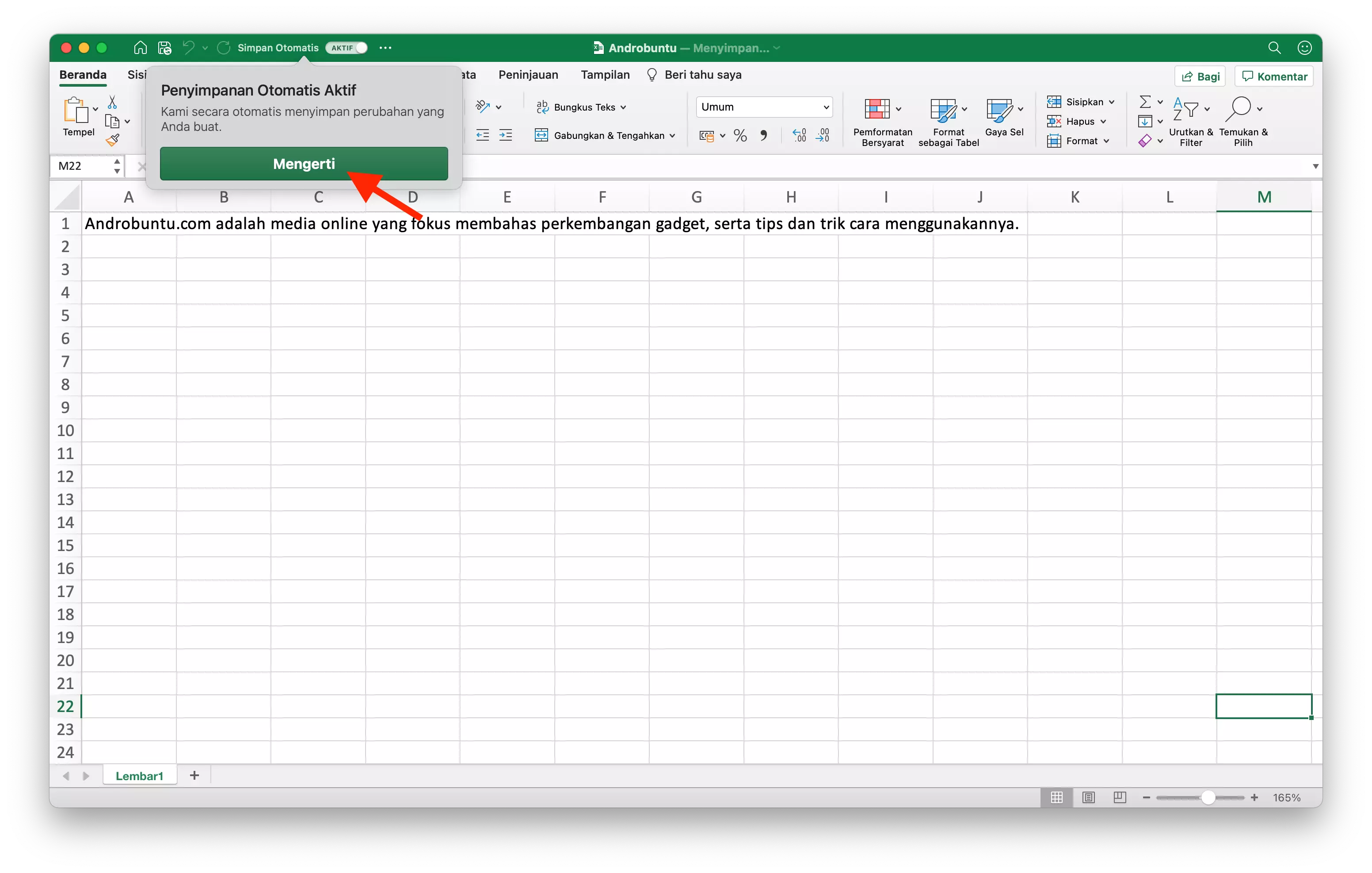 Cara Mengaktifkan Fitur Simpan Otomatis Microsoft Excel by Androbuntu 4