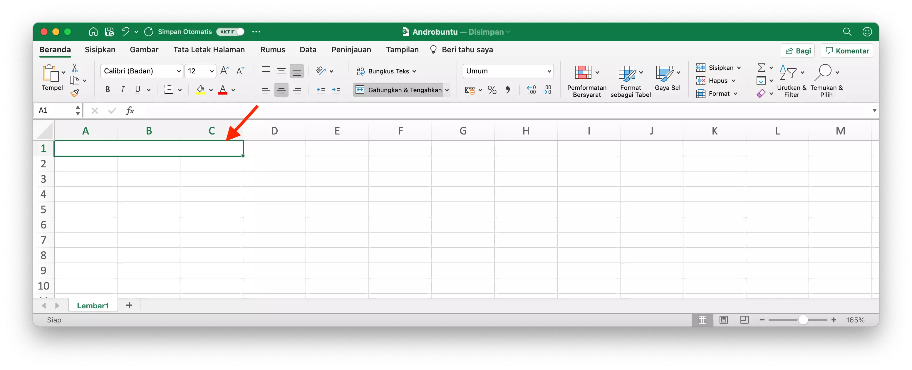 Cara Menggabungkan dan Memisahkan Sel di Microsoft Excel by Androbuntu 3