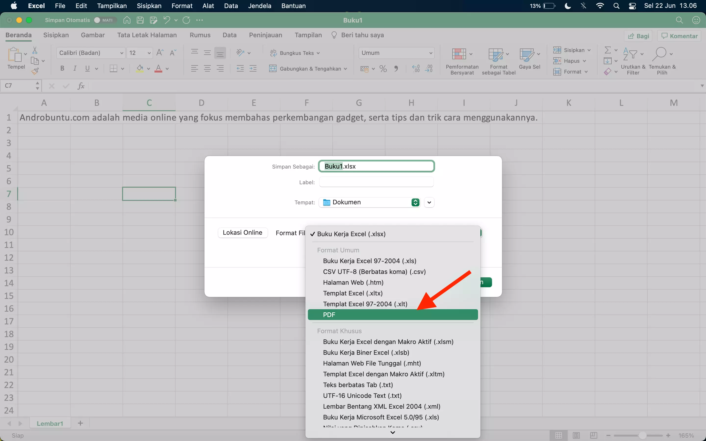Cara Mengubah Dokumen Excel ke PDF by Androbuntu 2