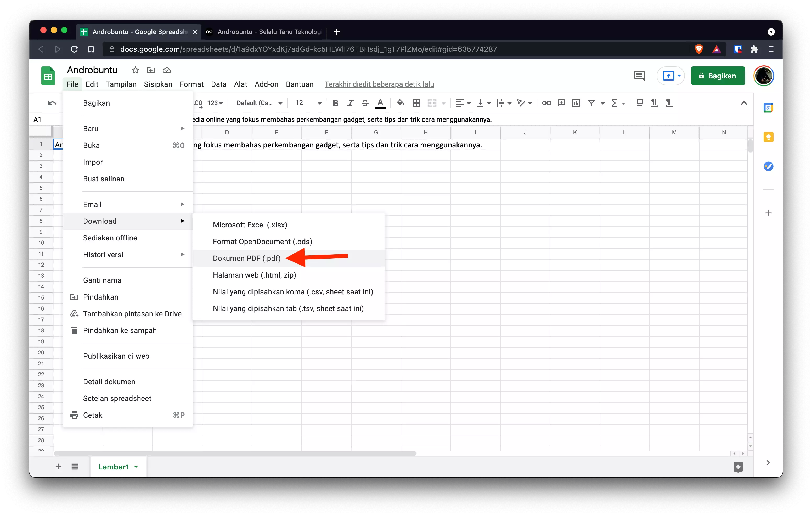 Cara Mengubah Dokumen Excel ke PDF by Androbuntu 7