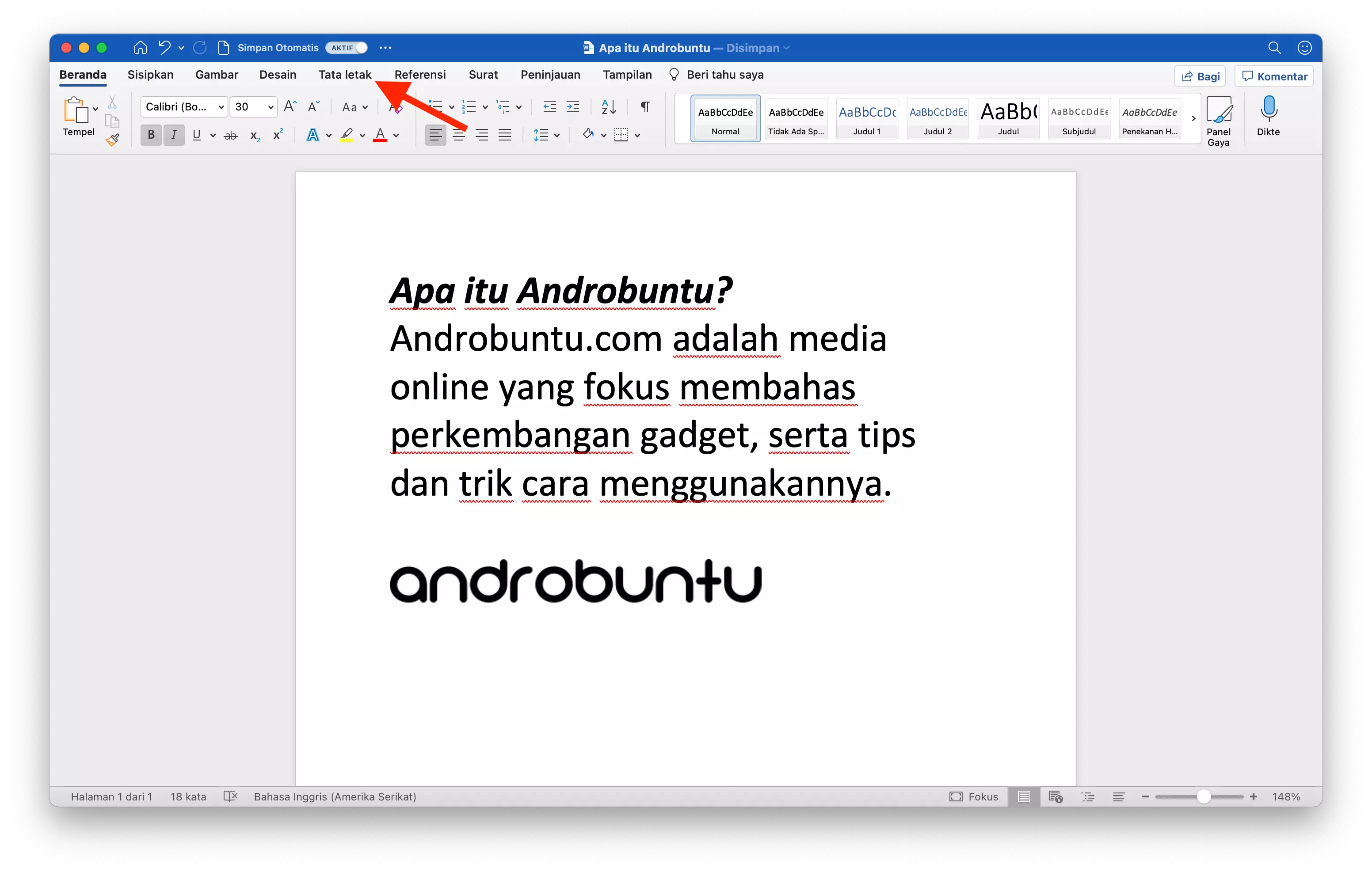 Cara Mengubah Ukuran Kertas di Microsoft Word by Androbuntu 1