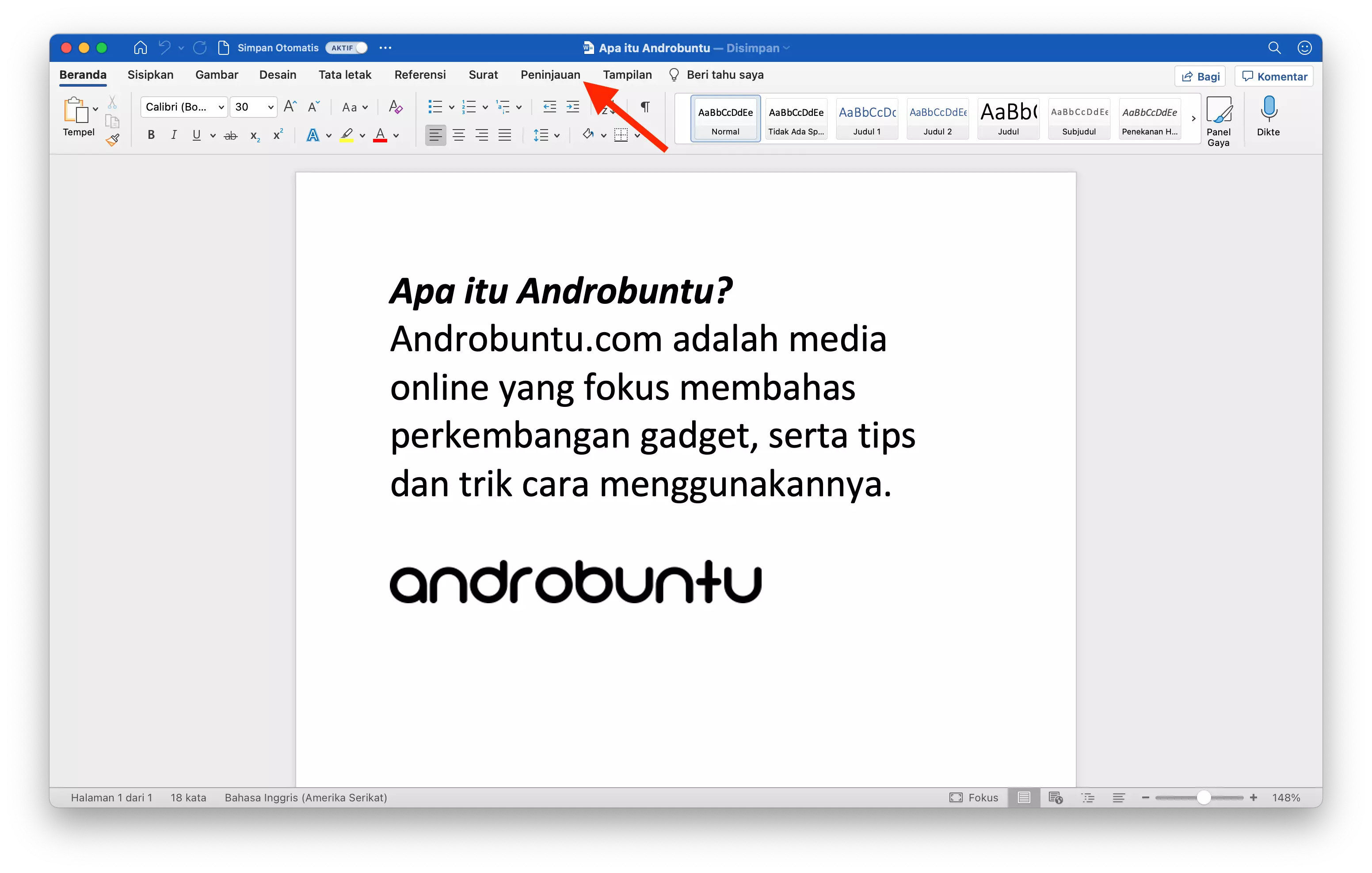 Cara Mengunci Dokumen dengan Password di Microsoft Word by Androbuntu 1