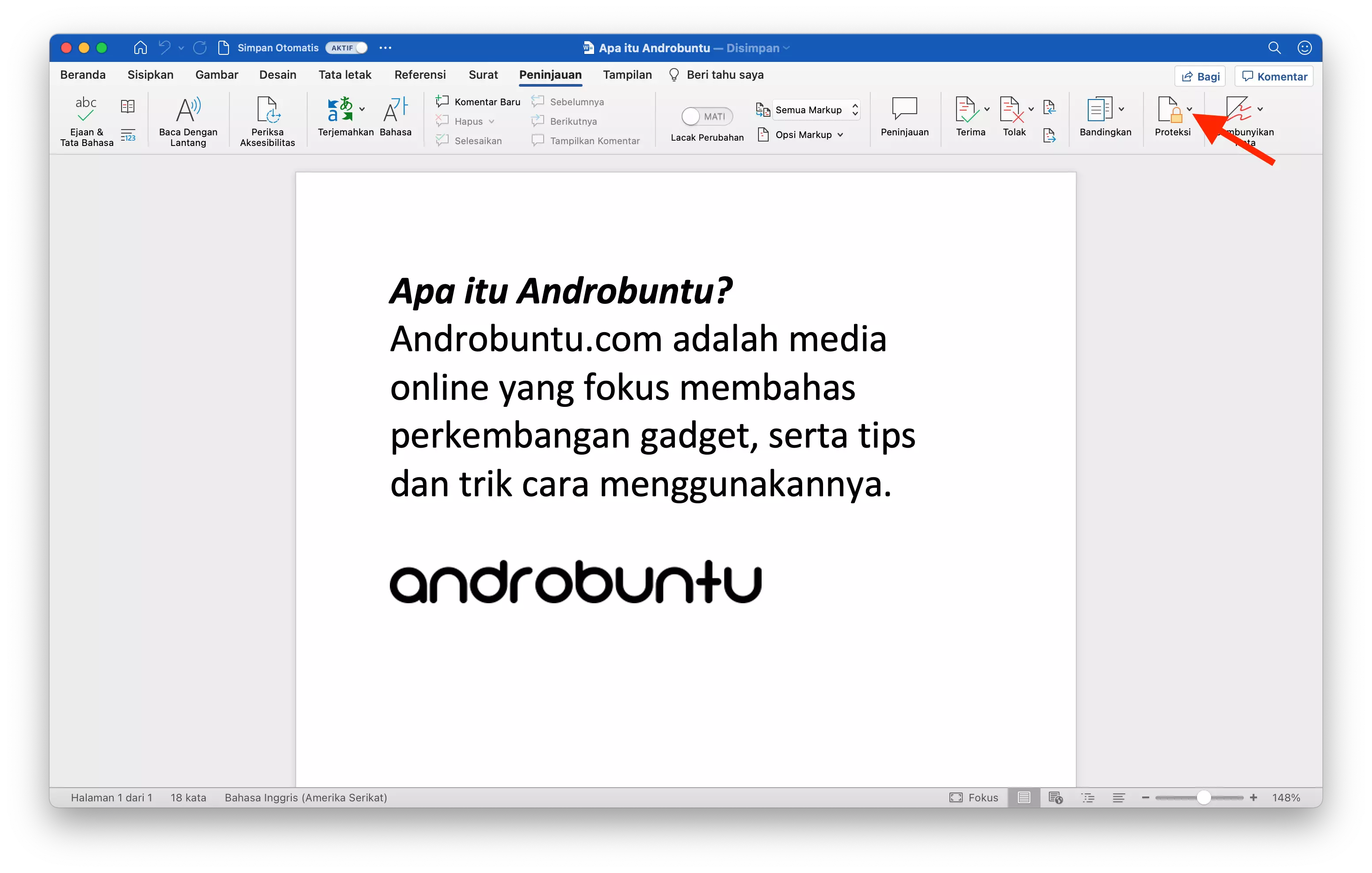 Cara Mengunci Dokumen dengan Password di Microsoft Word by Androbuntu 2