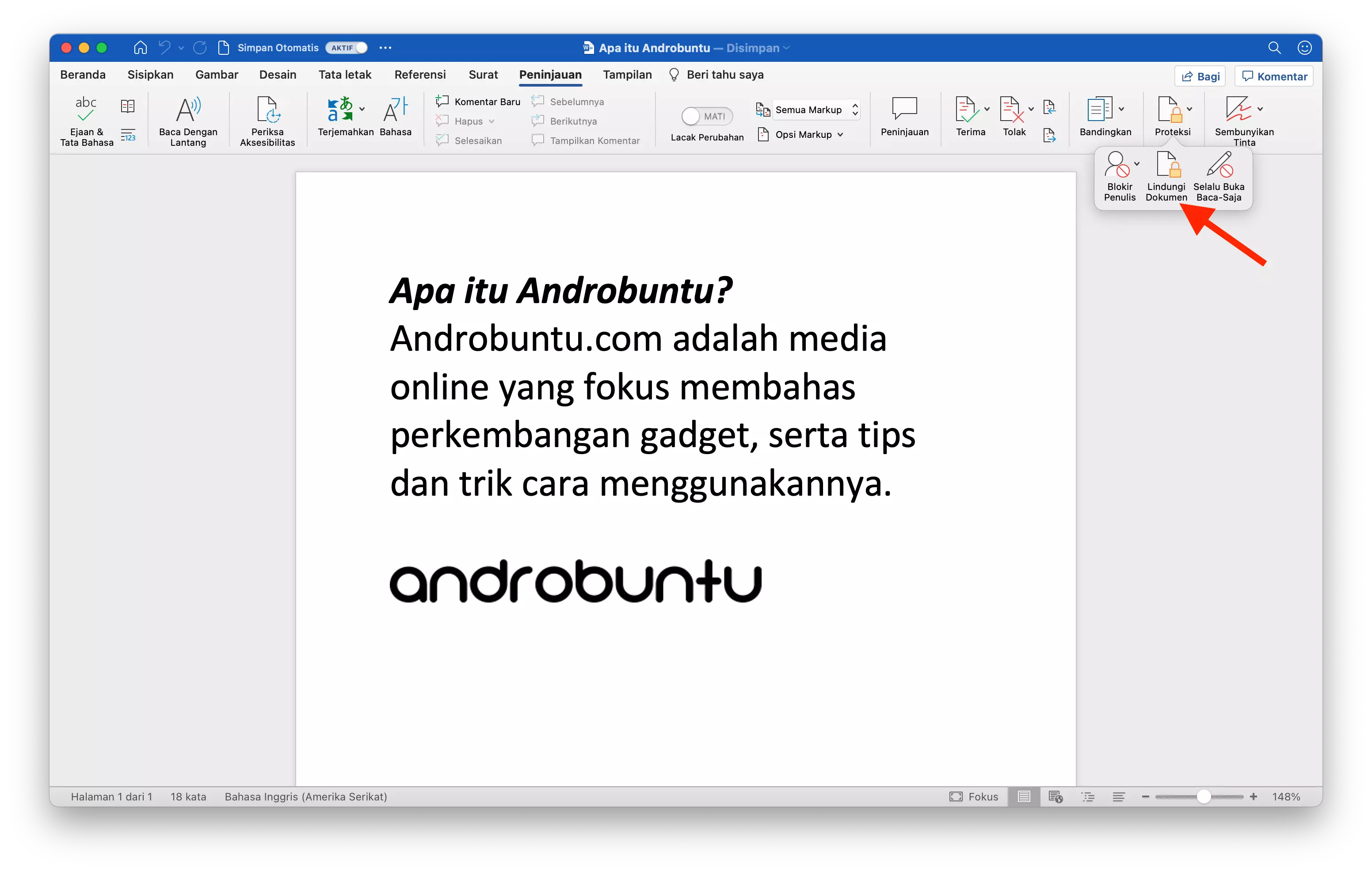 Cara Mengunci Dokumen dengan Password di Microsoft Word by Androbuntu 3