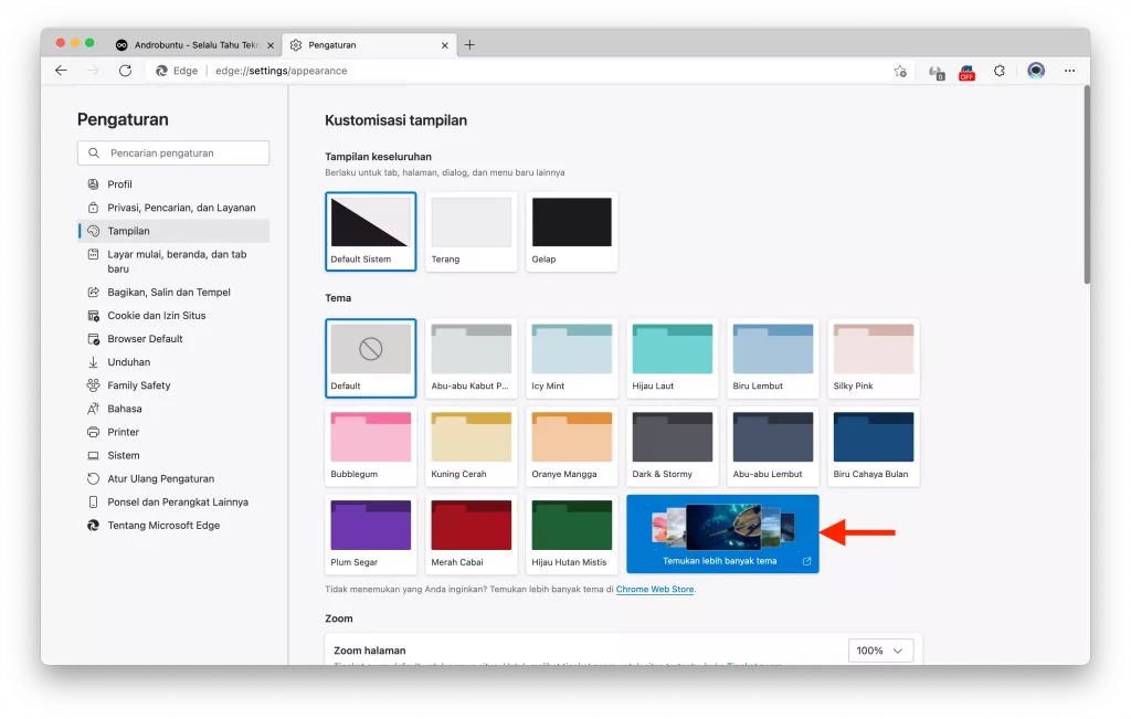 Cara Mengganti Tema Microsoft Edge by Androbuntu 4