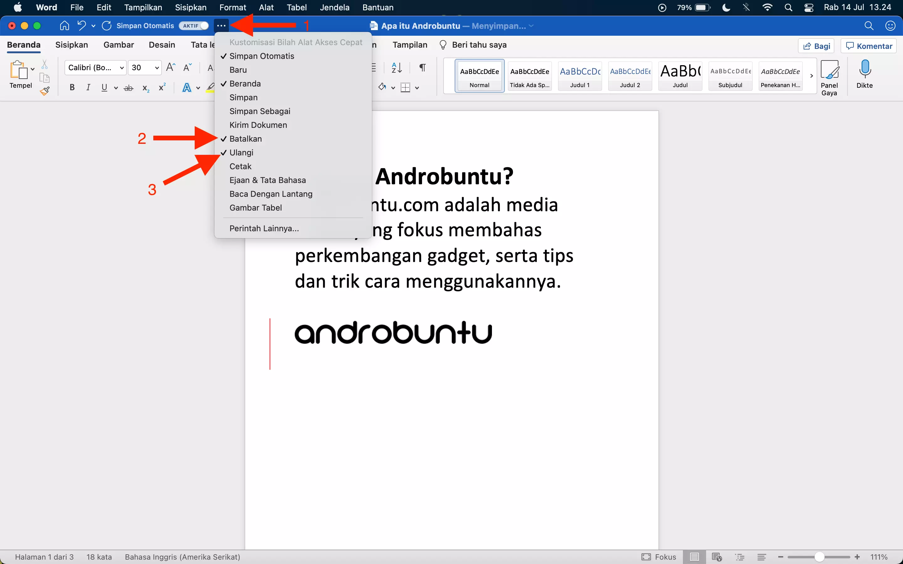 Cara Undo di Microsoft Word by Androbuntu 1