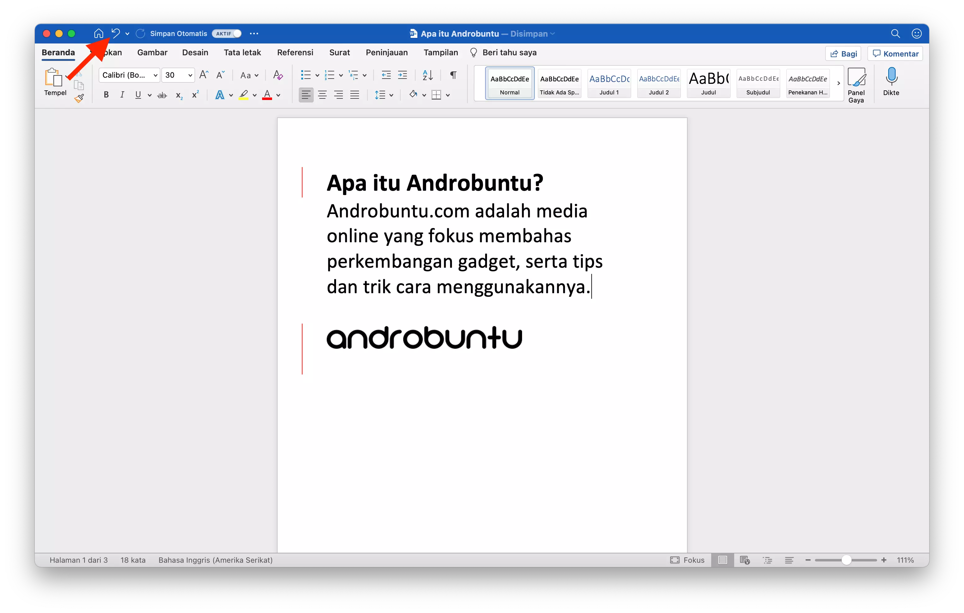 Cara Undo di Microsoft Word by Androbuntu 2