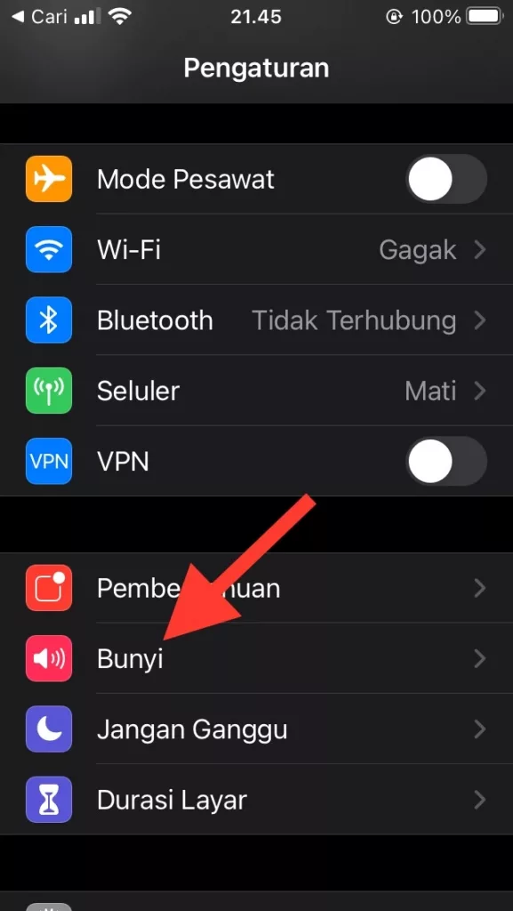Cara Mengganti Nada Dering di iPhone dan iPad by Androbuntu 1