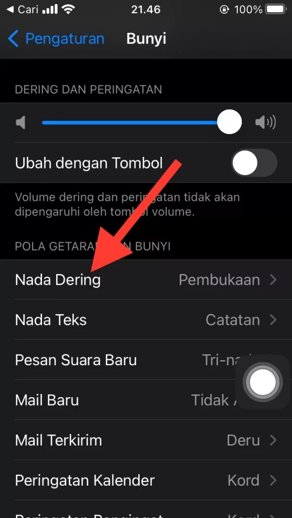 Cara Mengganti Nada Dering di iPhone dan iPad by Androbuntu 2