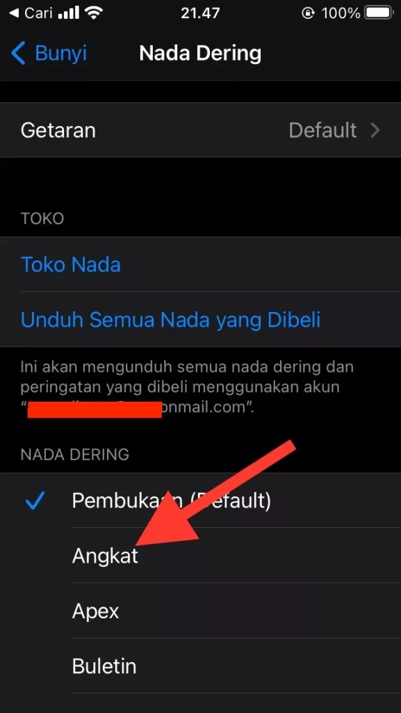 Cara Mengganti Nada Dering di iPhone dan iPad by Androbuntu 4