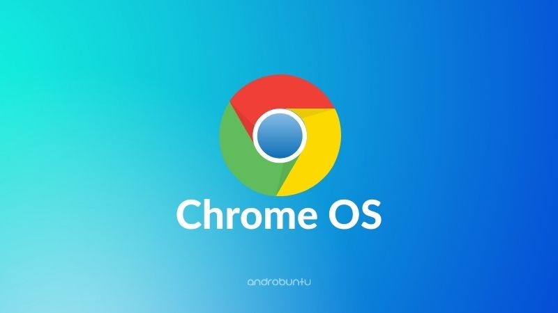 Chrome OS by Androbuntu